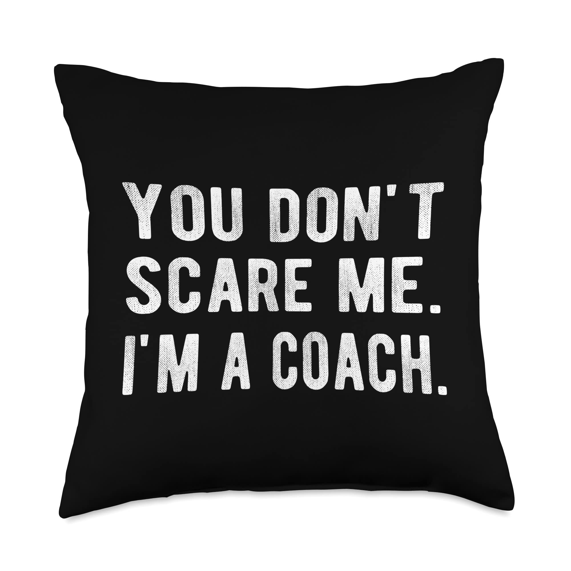 coach throw pillows
