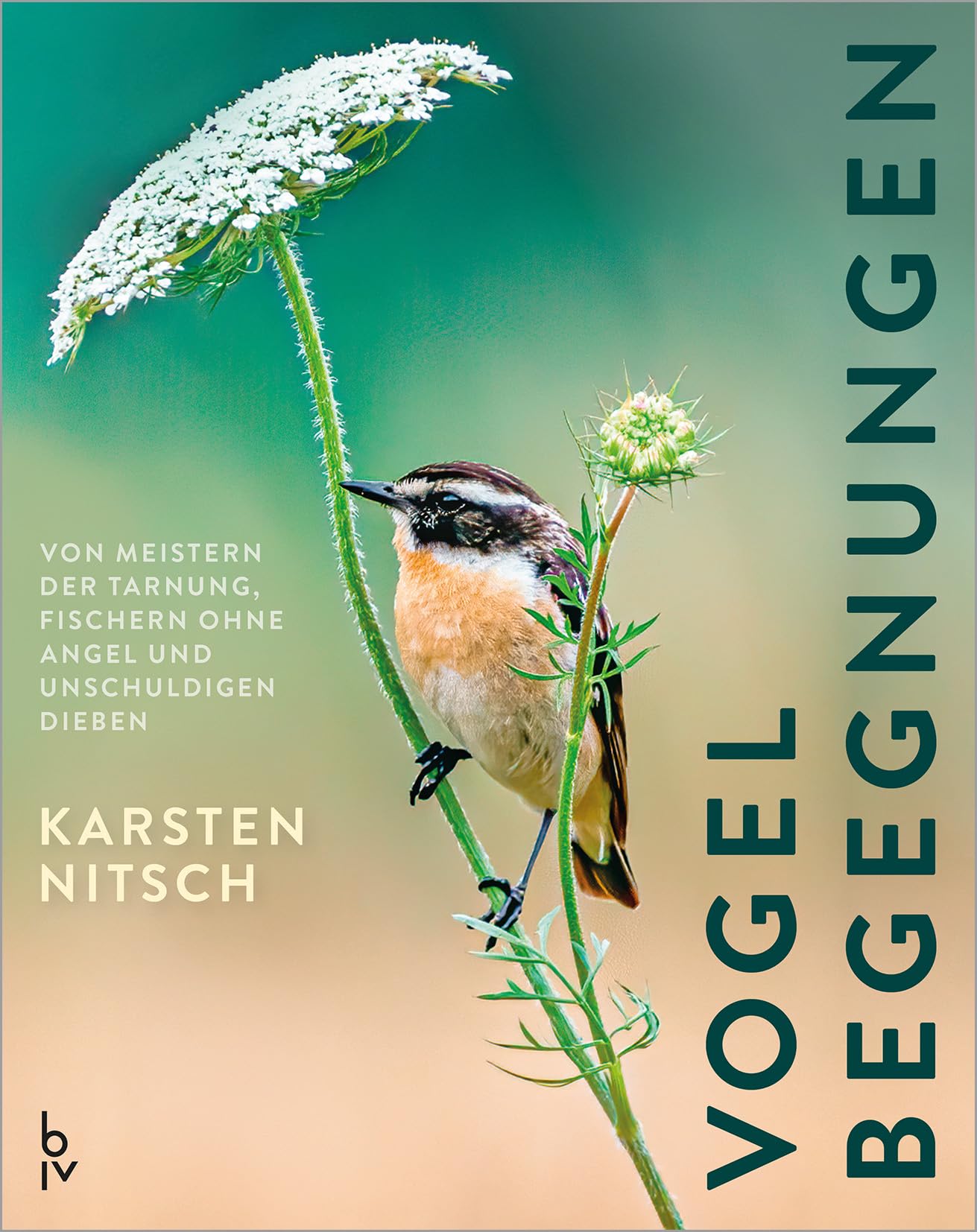 Vogelbegegnungen: Von Meistern der Tarnung, Fischern ohne Angel und unschuldigen Dieben – Die spannende Welt der Vögel in persönlichen Geschichten und beeindruckender Naturfotografie