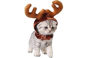 Christmas Cat Reindeer Antlers