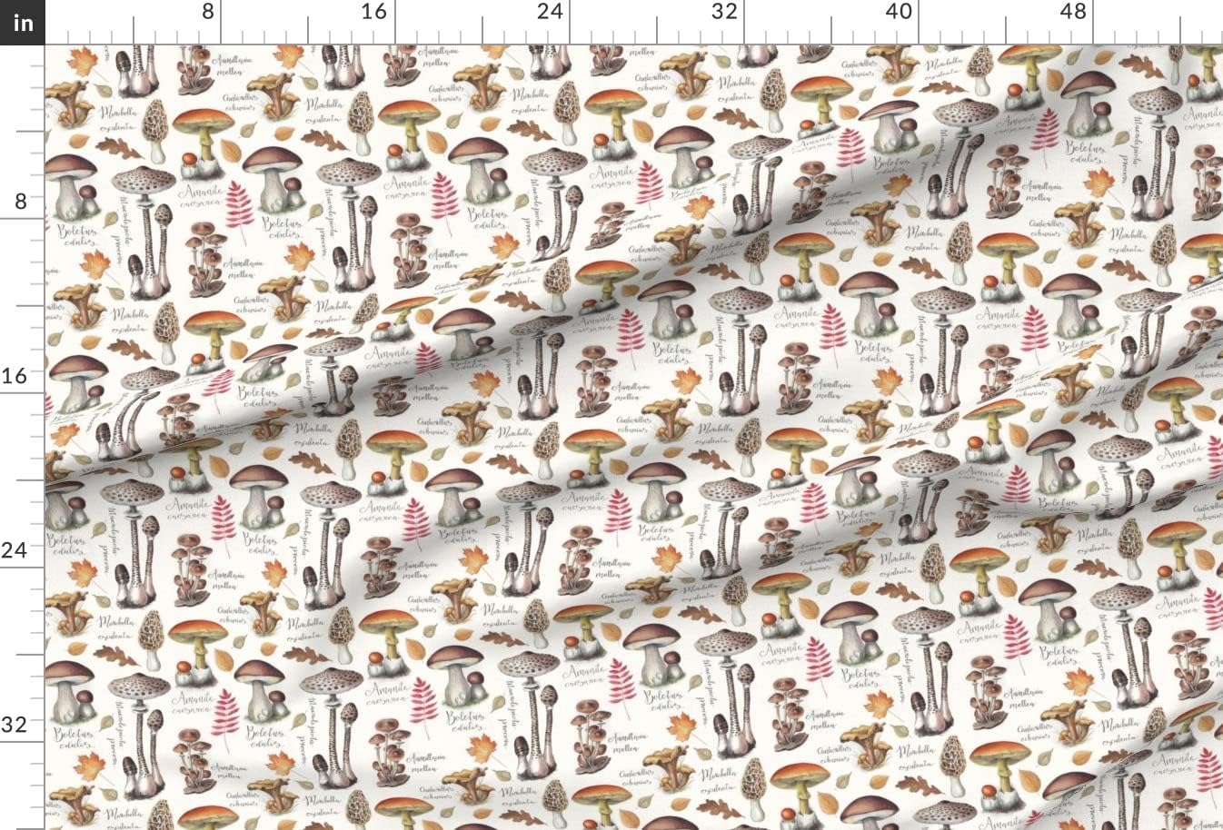 Spoonflower Fabric - Botanical Mushrooms Vintage Autumn Fall Watercolor Printed on Minky Fabric by The Yard - Sewing Baby Blankets Quilt Backing Plush