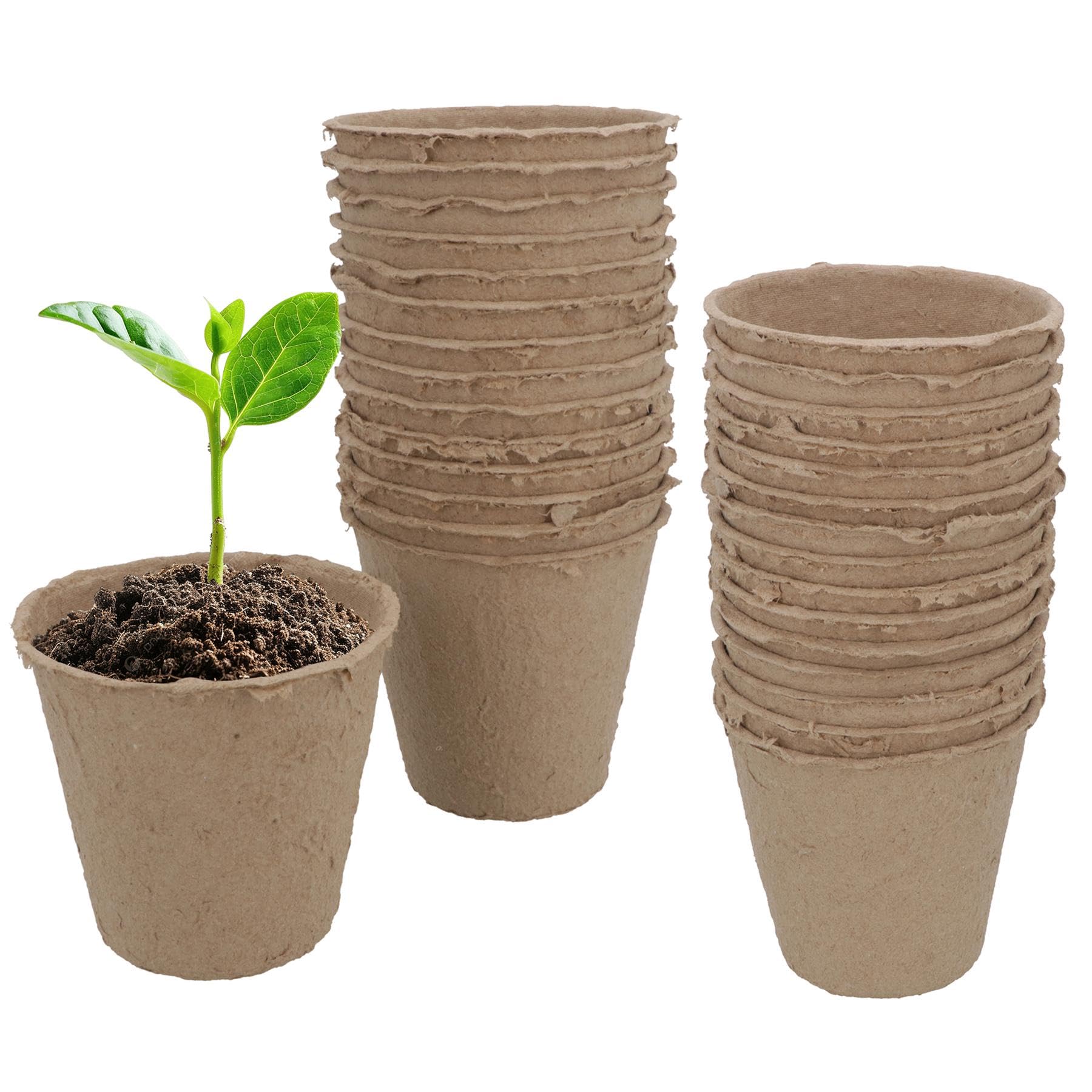 Ab Tools Brown Biodegradable Fibre Plant Pots For Seeds Seedlings Cuttings Round 8 X 8Cm 30Pc