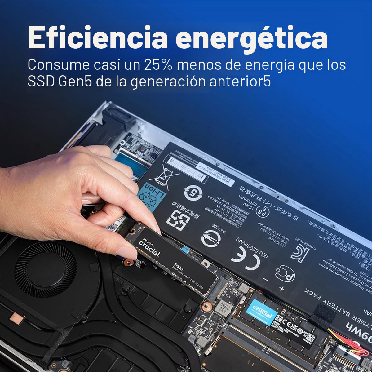 Crucial P510 - Ssd - 2 Tb - Intern - M.2 2280 - Pci Express 5.0 X4 (nvme)