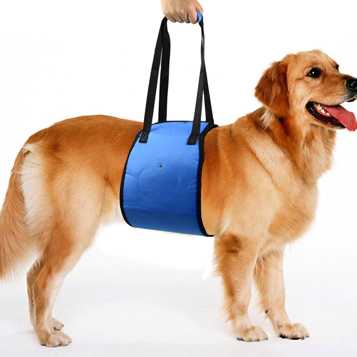 犬用介護ハーネス 犬 補助ハーネス 介助 散歩 歩行補助 老犬の為のハーネス 後ろ足 歩行サポート 安定性 介護用品 Topsoso 4quoludlr2 電装 オーディオパーツ Clubhercules Com