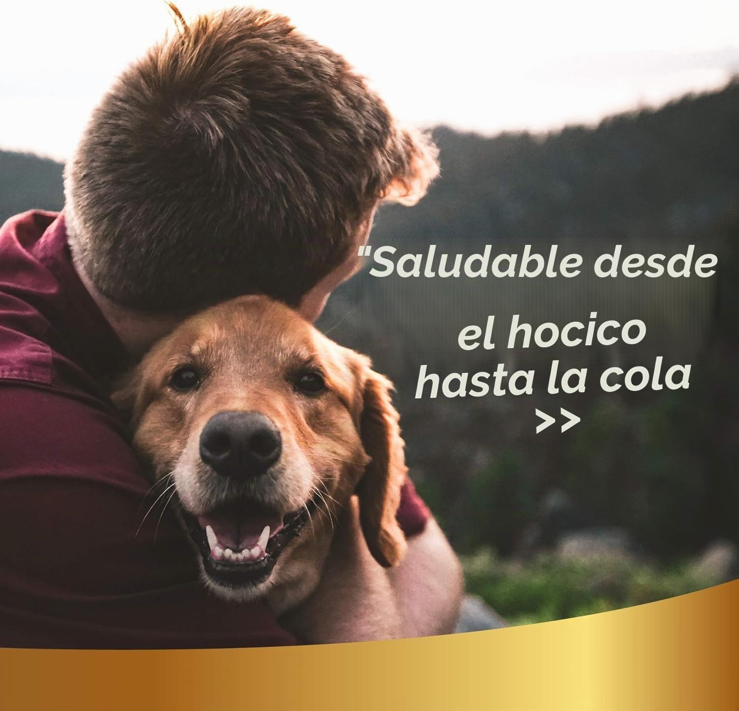 Línea 101 Spray Desenredante Pelo Perros 250ml, Acondicionador Perro Natural con Aceites Vegetales, Acondicionador para Perros Antiestático, Pelo Suave y Brillante, Made in Italy
