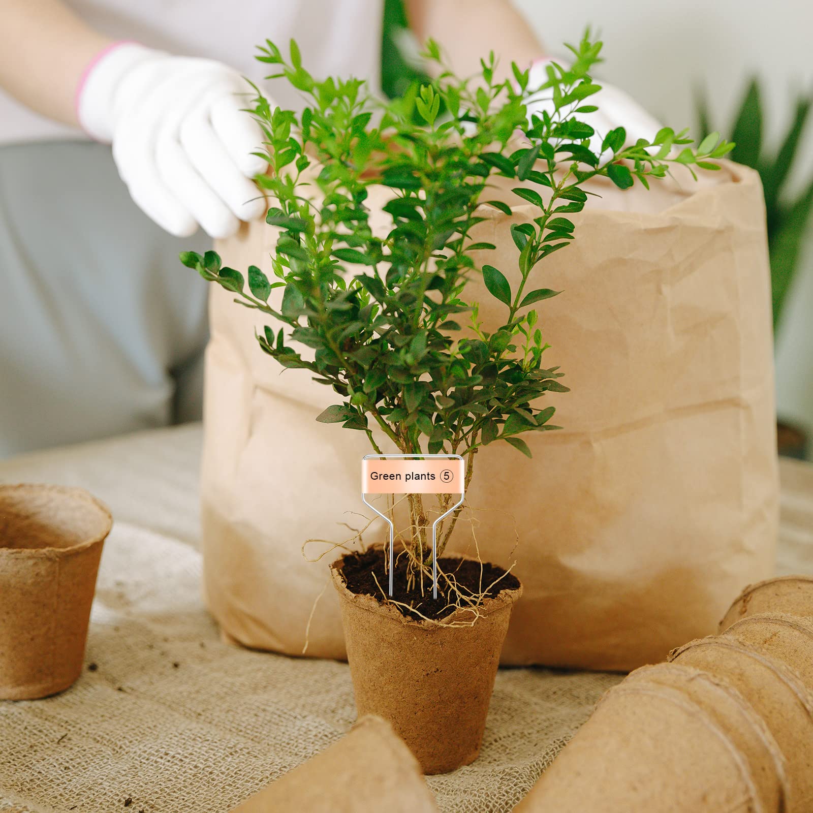 étiquettes PVC Imperméables 300 Étiquettes Pour Plantes En Plastique - 10,2 Cm - Avec Stylo Permanent - Jardin, Semis, Pots étiquettes Plantes Jardinage