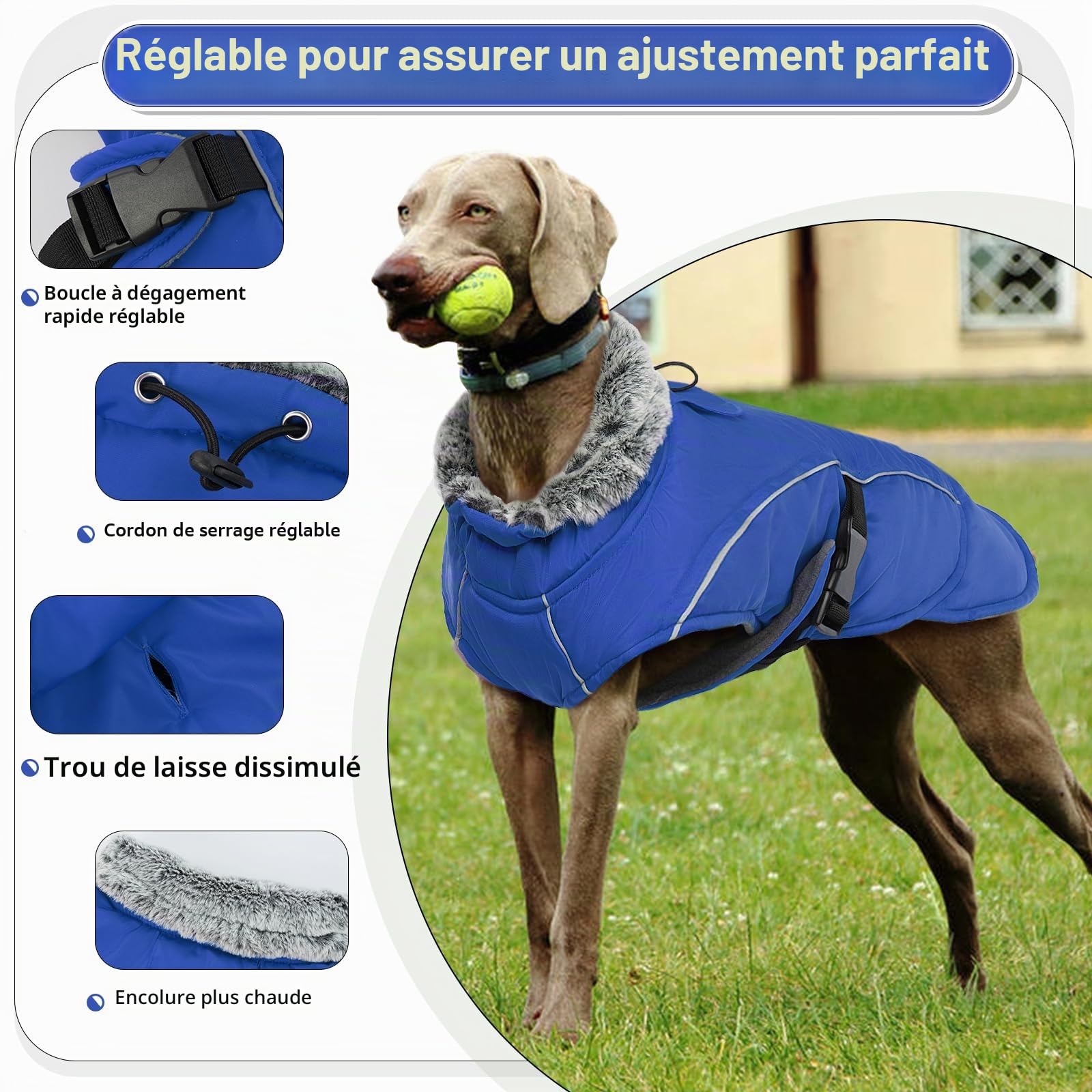 Manteau d'Hiver Chaud pour Chien - Veste Polaire Imperméable Coupe-Vent Réglable - Habit de Neige pour Temps Froid - Gilet Vêtements d'Hiver (Bleu, 2XL)
