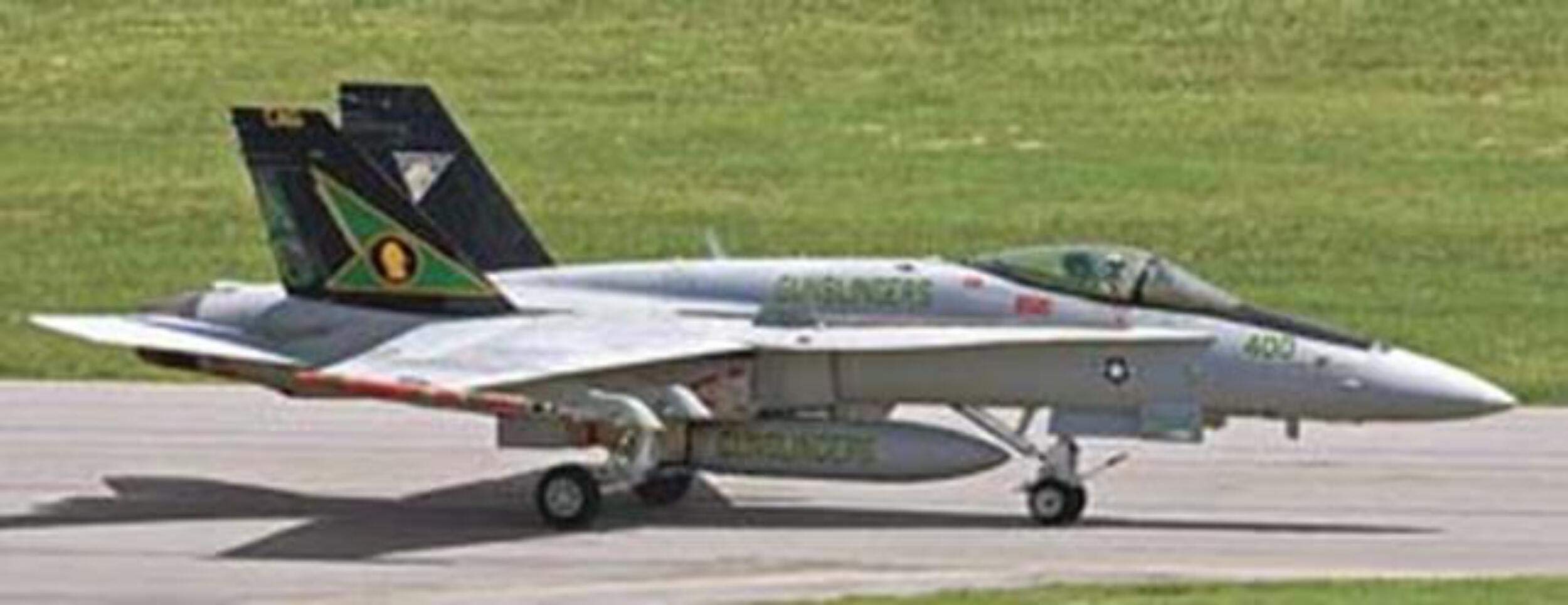 Amazon.com: 09860 1/48 F/A-18C Hornet VFA-105 Gunslingers Ltd by