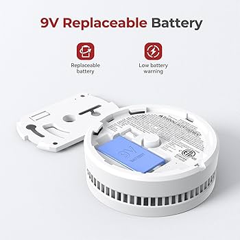 71LHPYred8L._AC_UF350,