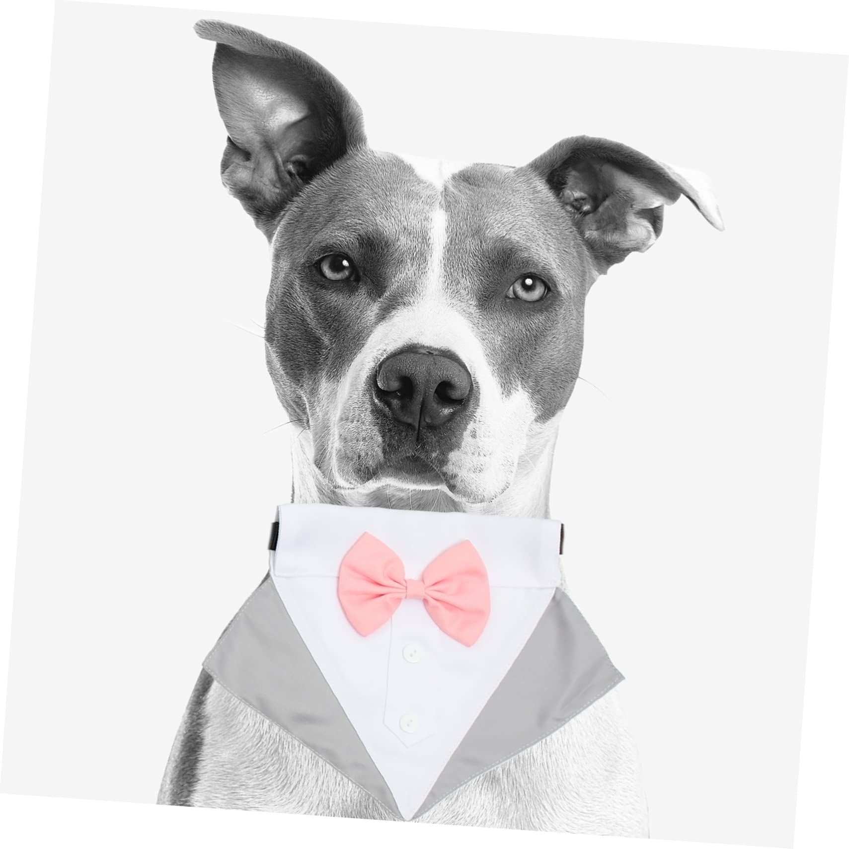 YARNOW 3 Set tuta per cani tuta da compagnia smoking formale per cani sciarpa cane dog costume abito vestiti vestito per cani costume da compagnia cane maschio capi di abbigliamento Veste