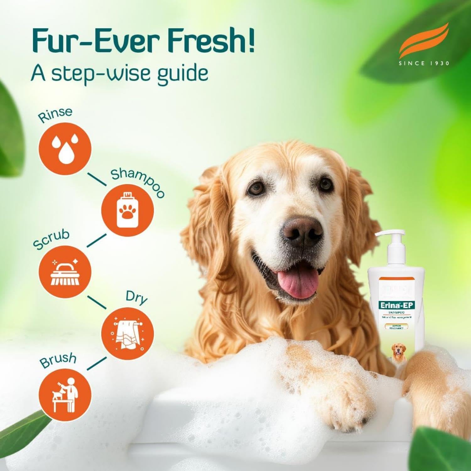 Ayurvedic Natural Erina EP Dog & Cat Shampoo for Tick and Flea With ...