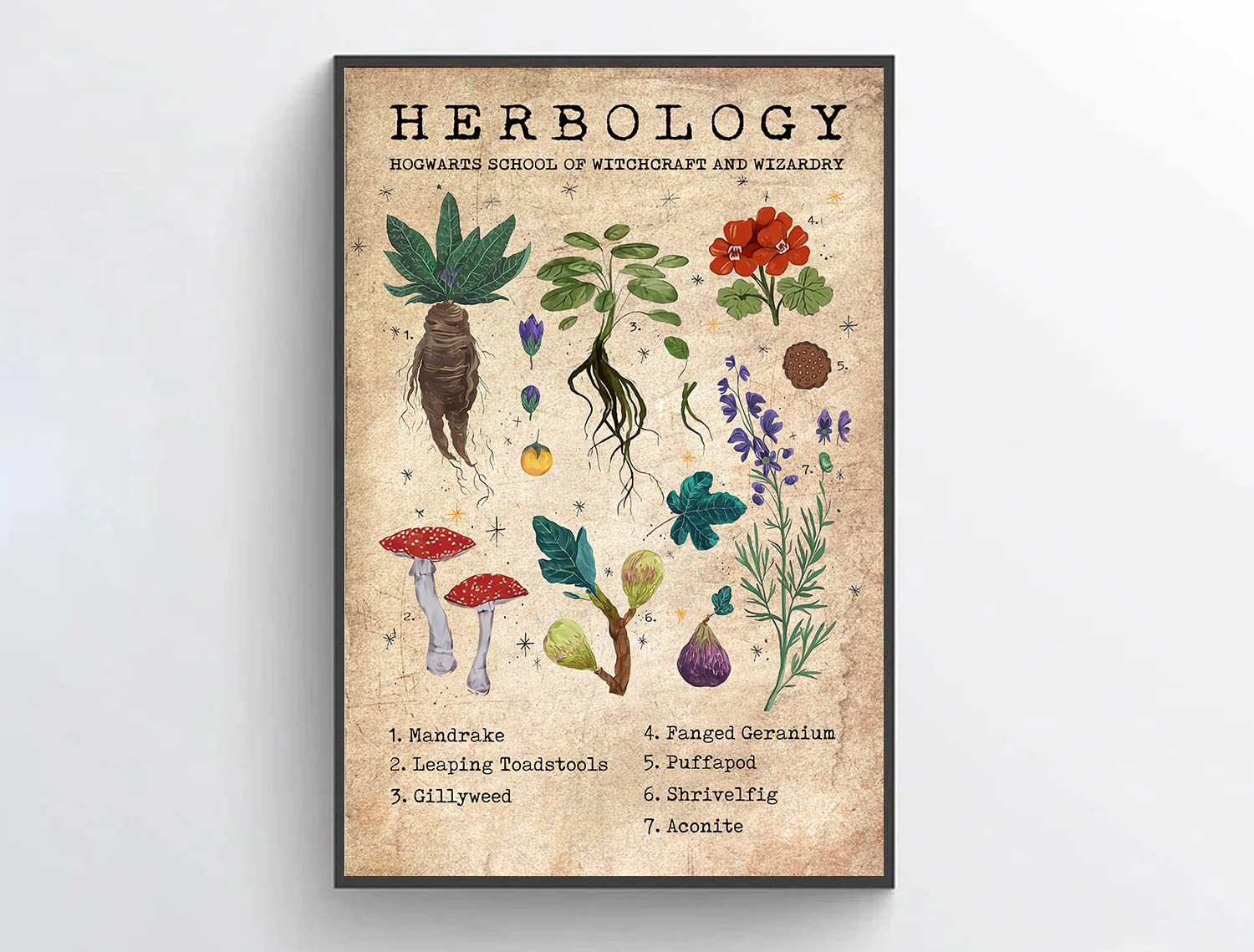 Herbology Harry Potter Poster ubicaciondepersonas.cdmx.gob.mx