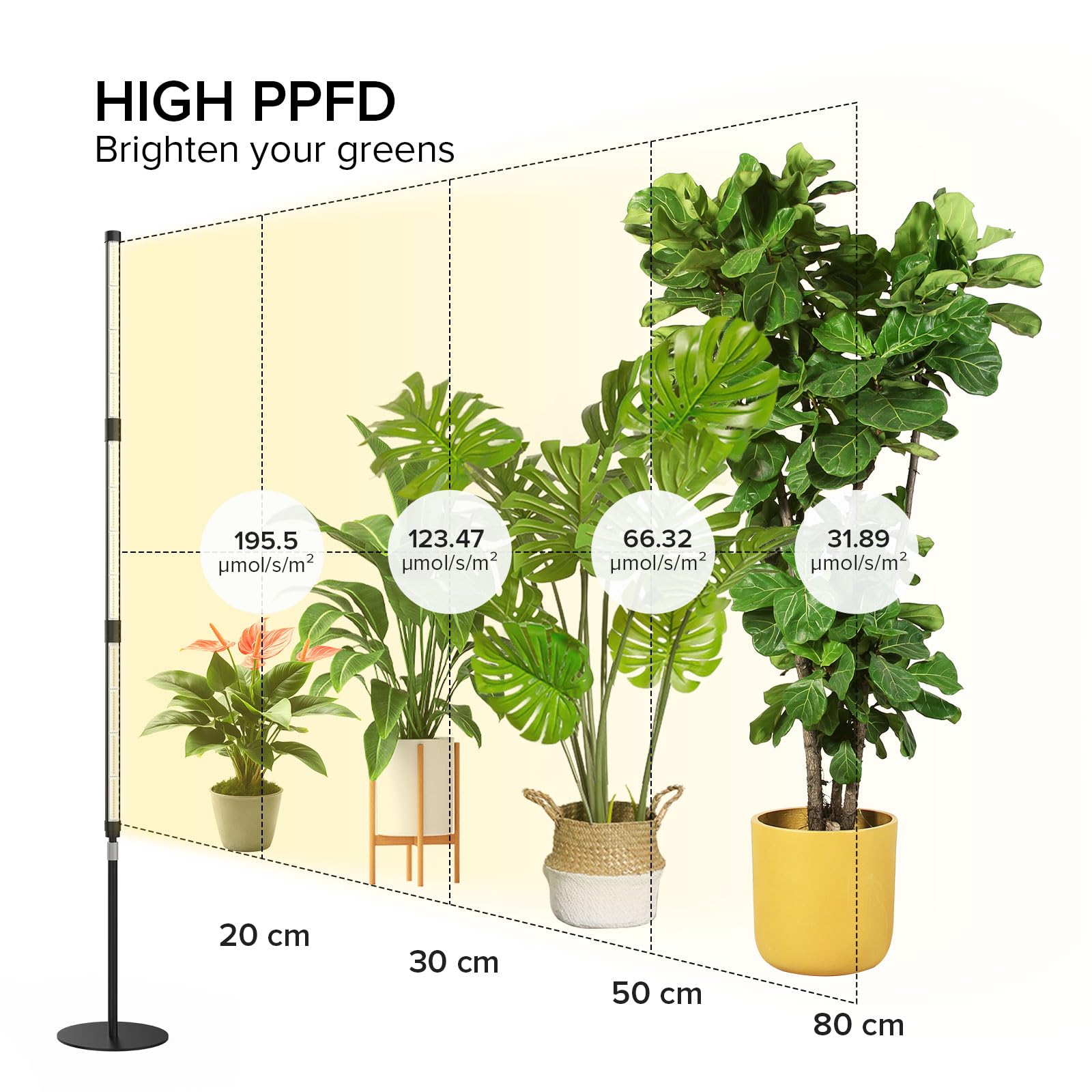 SANSI T10 Lampada da Coltivazione, Spettro Completo per Piante da Interno, 55W con 168 LED, Timer 4/8/12H, 4 Livelli di Luminosità, Altezza Regolabile 159–189cm, Luce 4000K per La Crescita