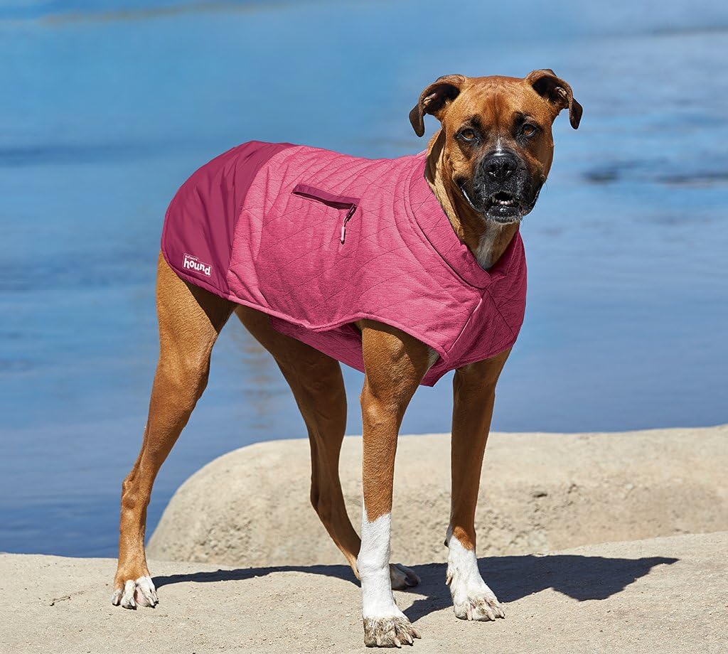 thinsulate dog coat