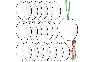 SANNIX Acrylic Ornaments Blanks for DIY Crafts