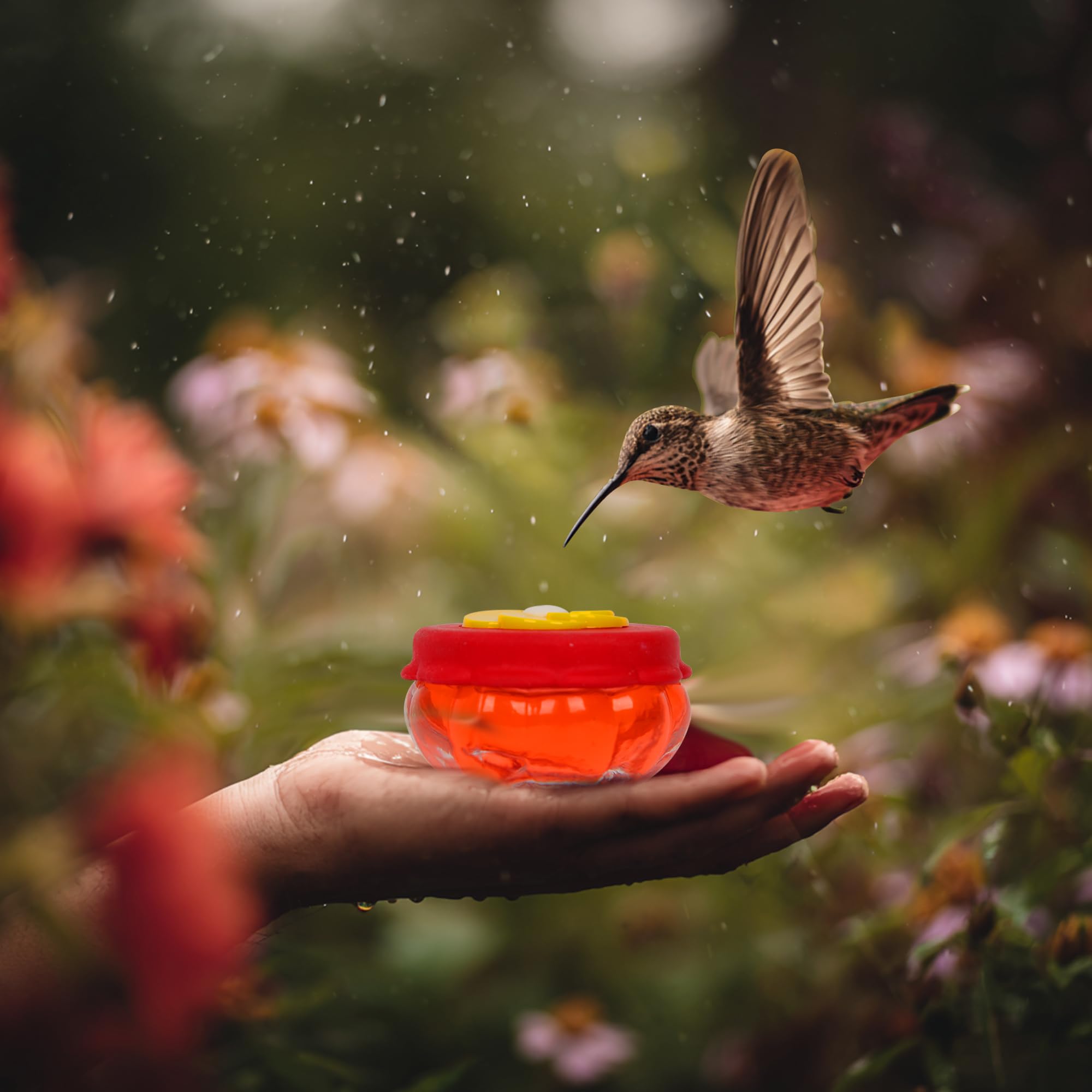 Perky Pet 8132-2 Starglow - Comedero De Colibri Cristal