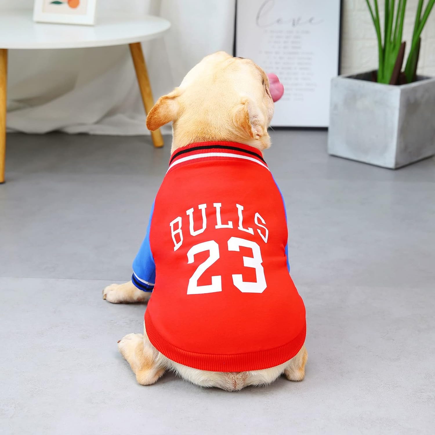 Dog Shirt, Elastic Dog Hoodies Dog Basketball Football Jersey, Breathable Dog Sport Uniform Dog Vest Clothes for Small Medium Dogs