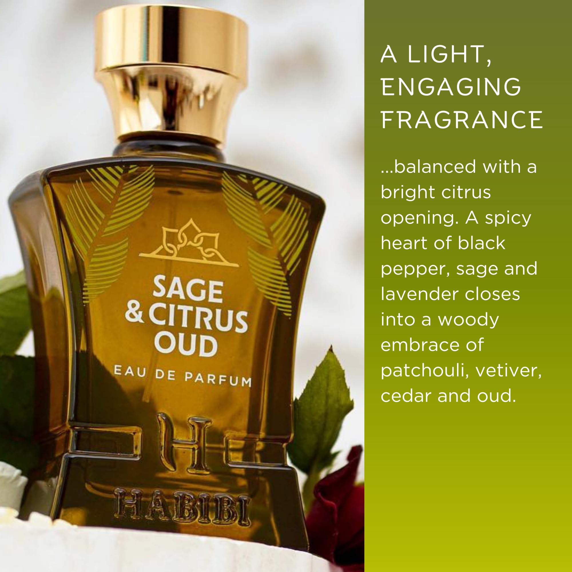 Oud Fresh Citrus Mens Fragrance Citrus Oud 1667 Perfume A