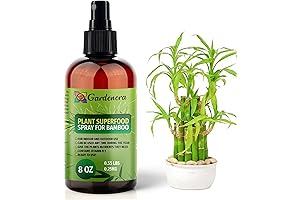 ๐๐๐๐๐๐๐๐๐๐ Plant Superfood