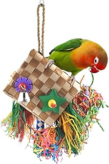 Bissap Bird Chew Toys, Parrot Foraging Shredder Natural Palm Frond Hanging Cage Toy for Small Medium Parrot Parakeet Conure Cockatiel Parrotlet Lovebird Budgie - Flat Square