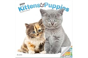 Deluxe Kitten and Puppy Wall Calendar Bundle 2024