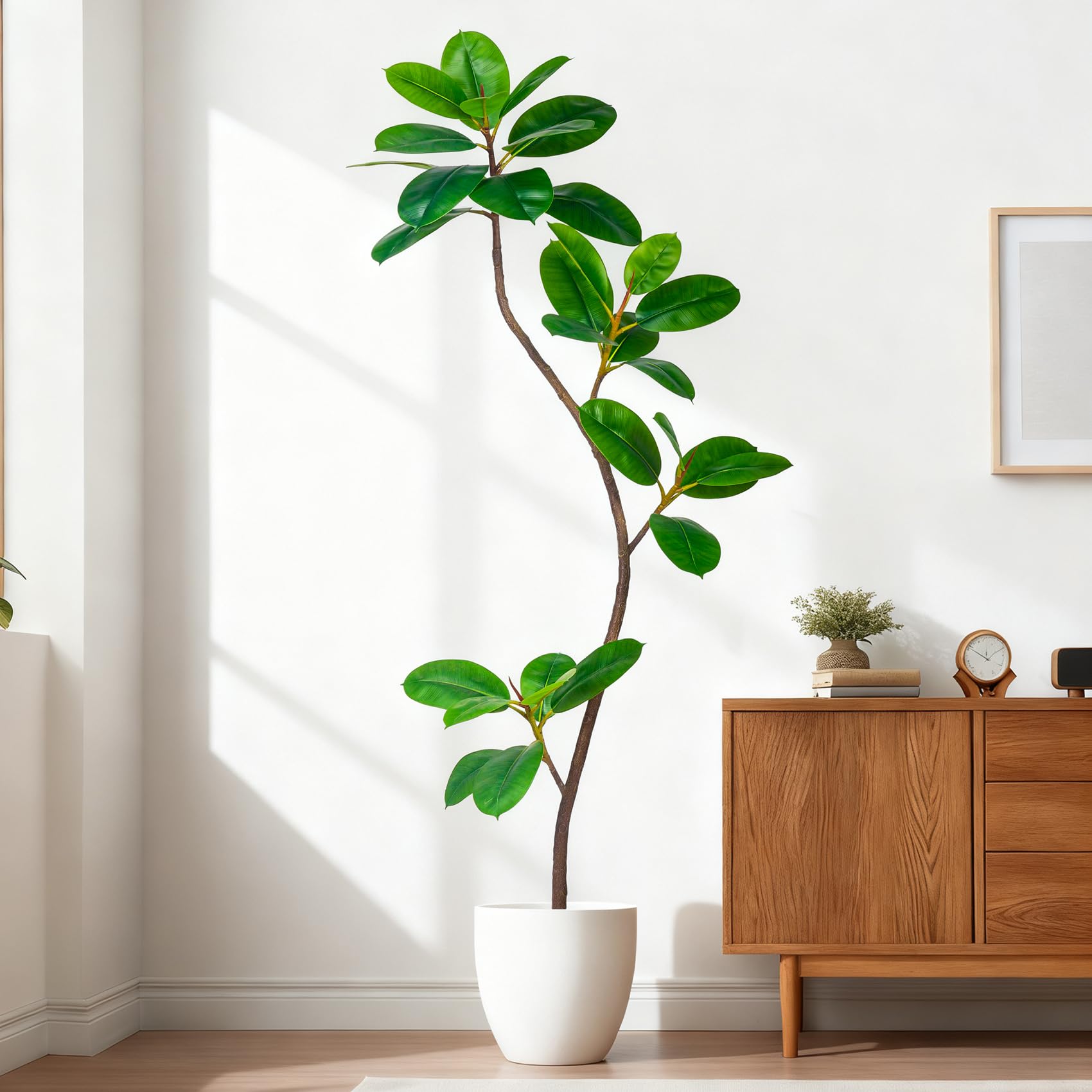 Bailikang 5.2FT Artificial Rubber Tree