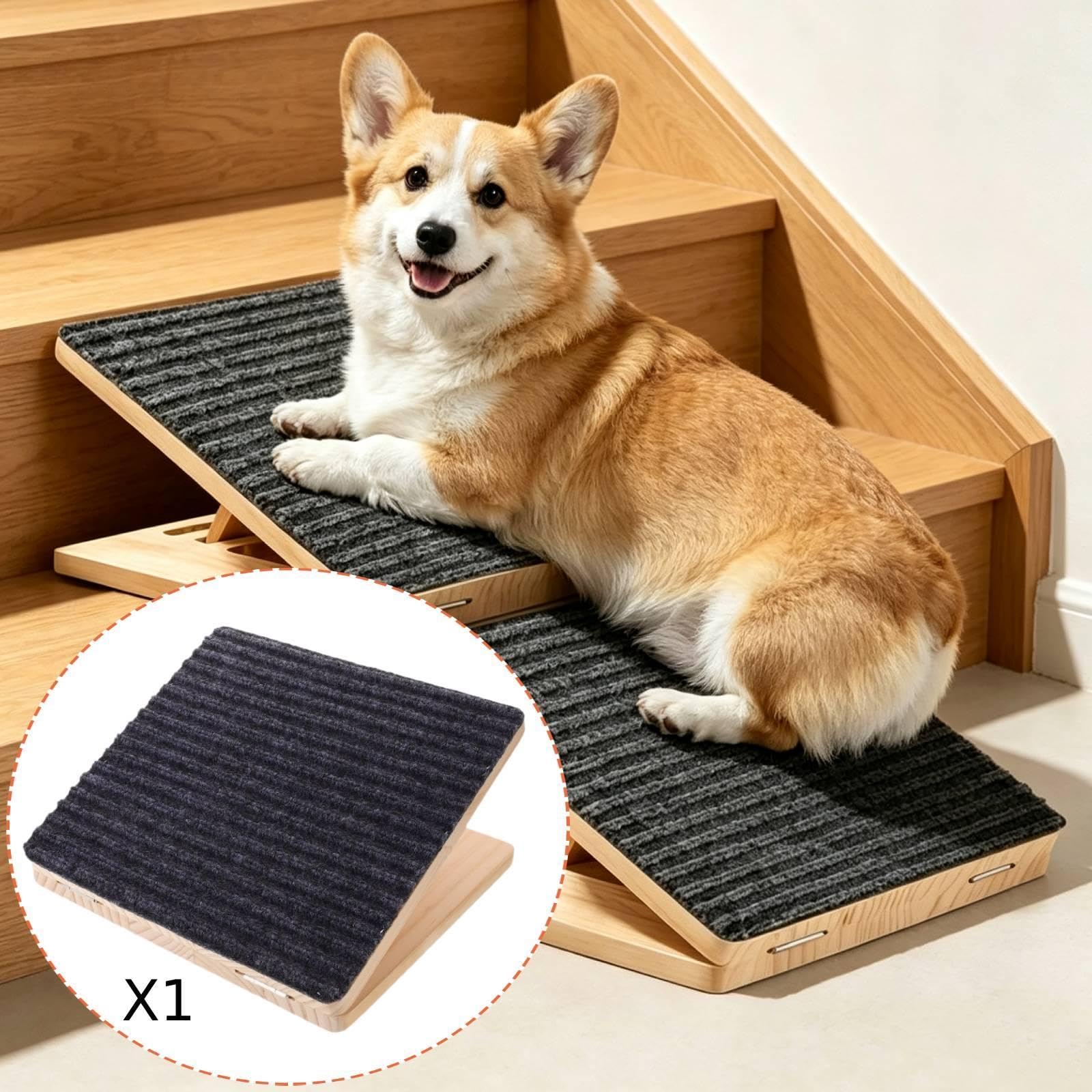 Generic Rampa Regolabile per Cani, Adatta, Ideale per Cani Anziani E con Zampe Corte.