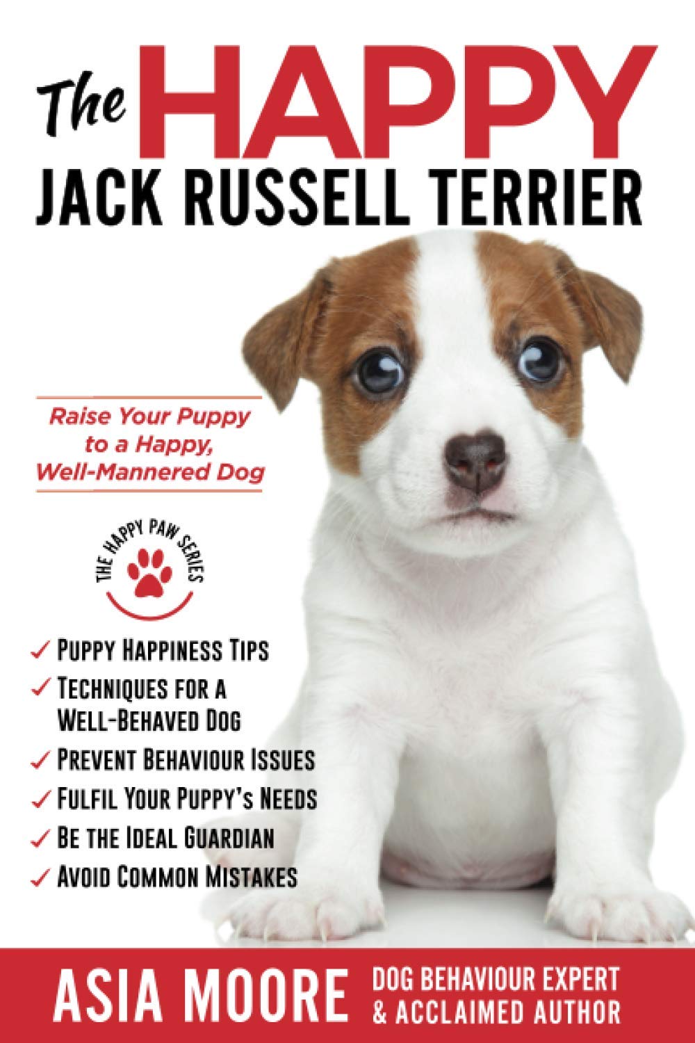 How Do You Raise A Jack Russell Puppy