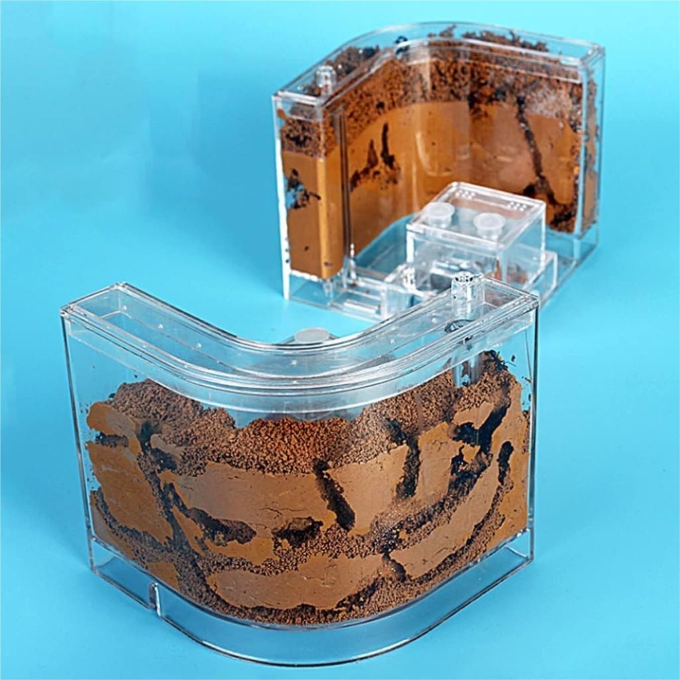 Acrylic Ant Castle