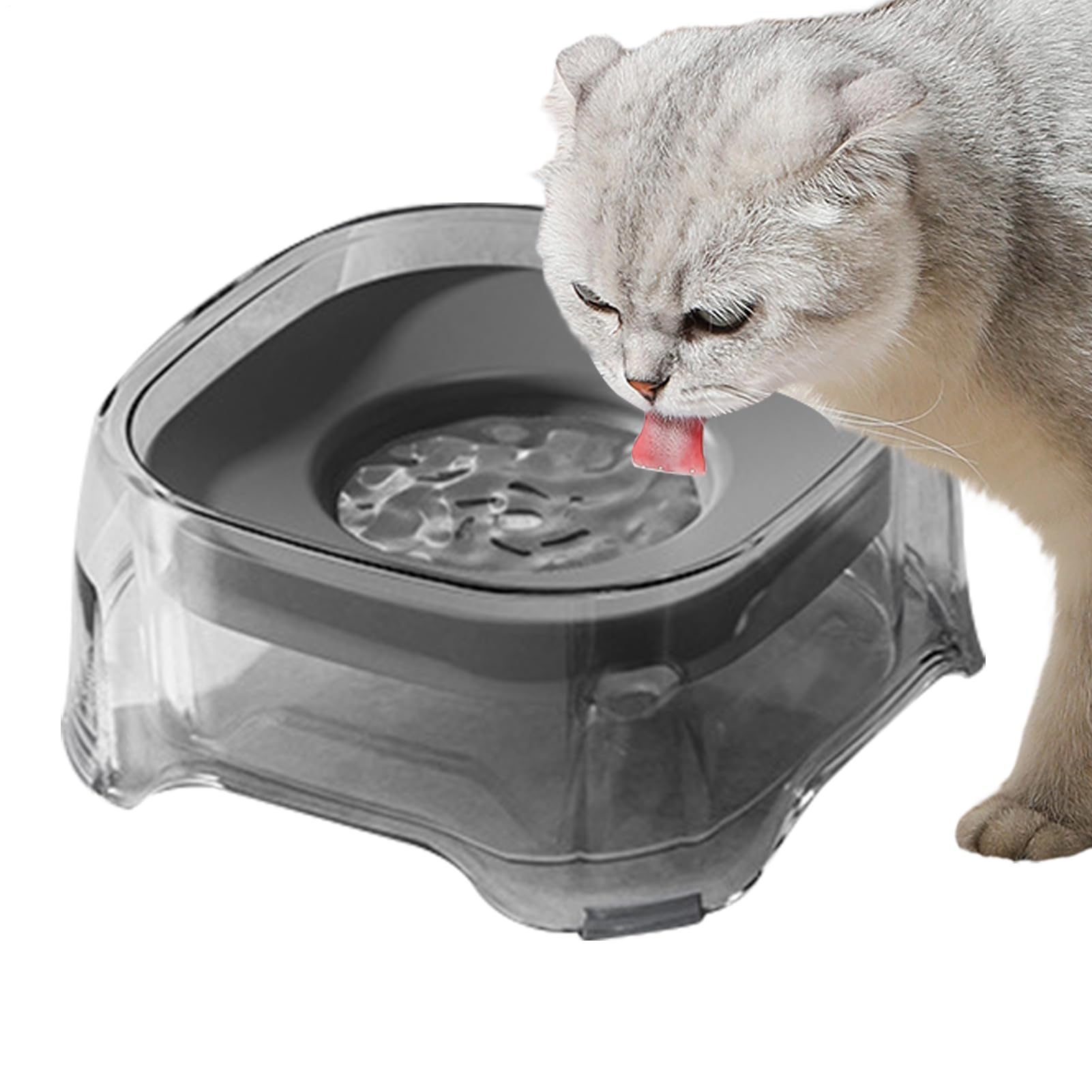 Gamelle d'eau anti-déversement pour chien à disque flottant
