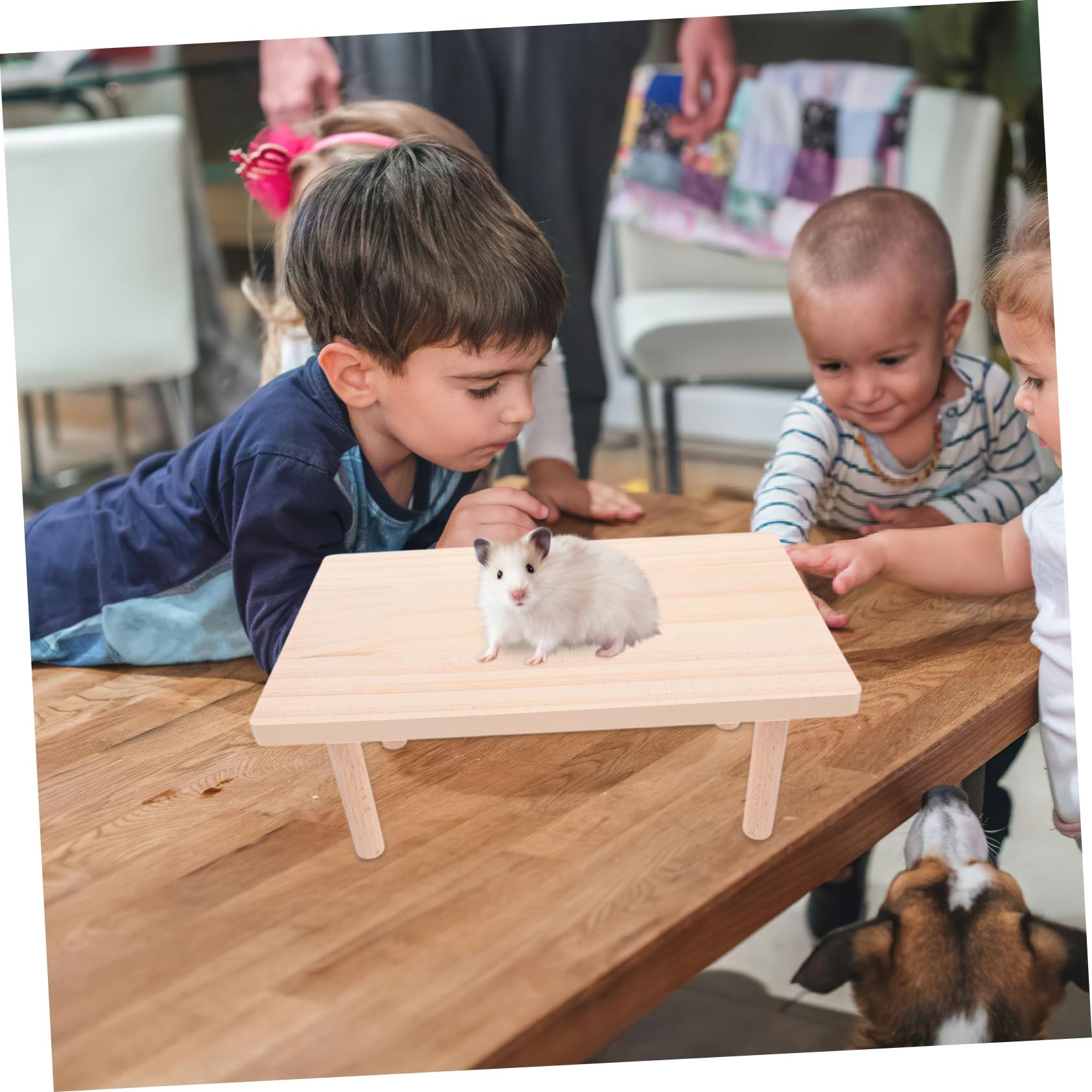 TOYANDONA Hamster Kletterplattform, 2 Stück für Käfig und Erkunden