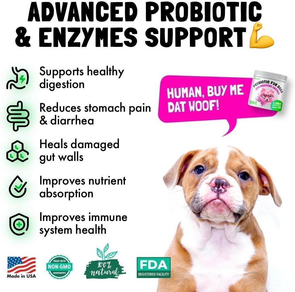 LEGITPET Calming Hemp Treats for Dogs 120 Soft Chews and Probiotics for Dogs with Natural Digestive Enzymes 120 Soft Chews Bundle - Made in USA