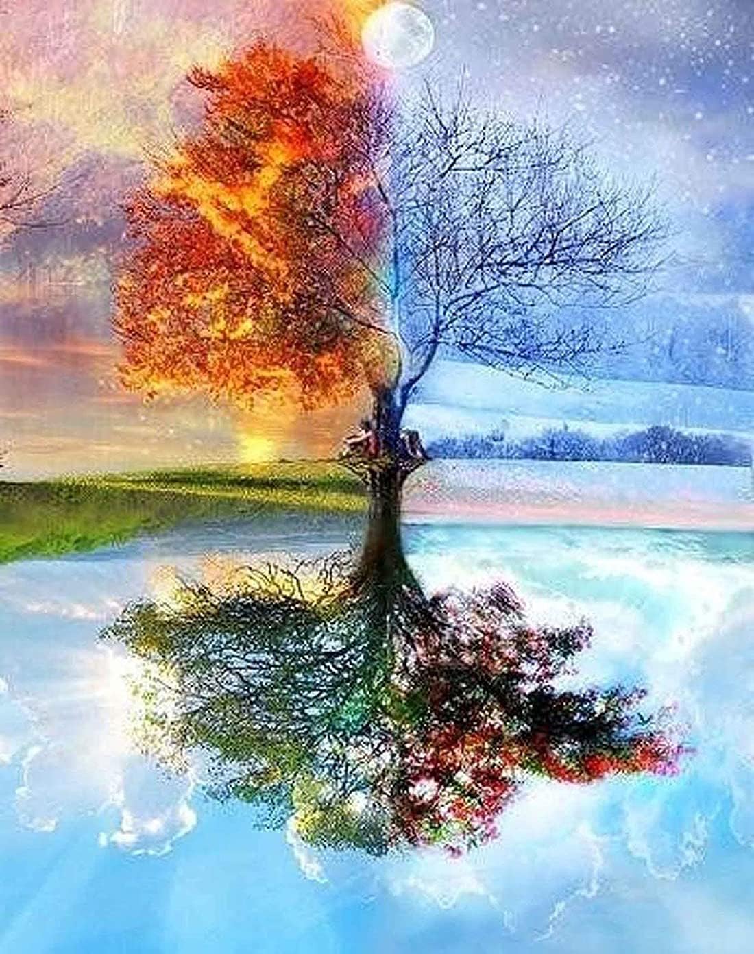 DELFINO 5D Diamond Painting by Number Rond Kits Diamond Art Painting Full Drill Crystal Seasons Tree Magic Tree Embroidery Rhinestone Arts Craft Canvas for Home Wall Decor 30cm * 40cm