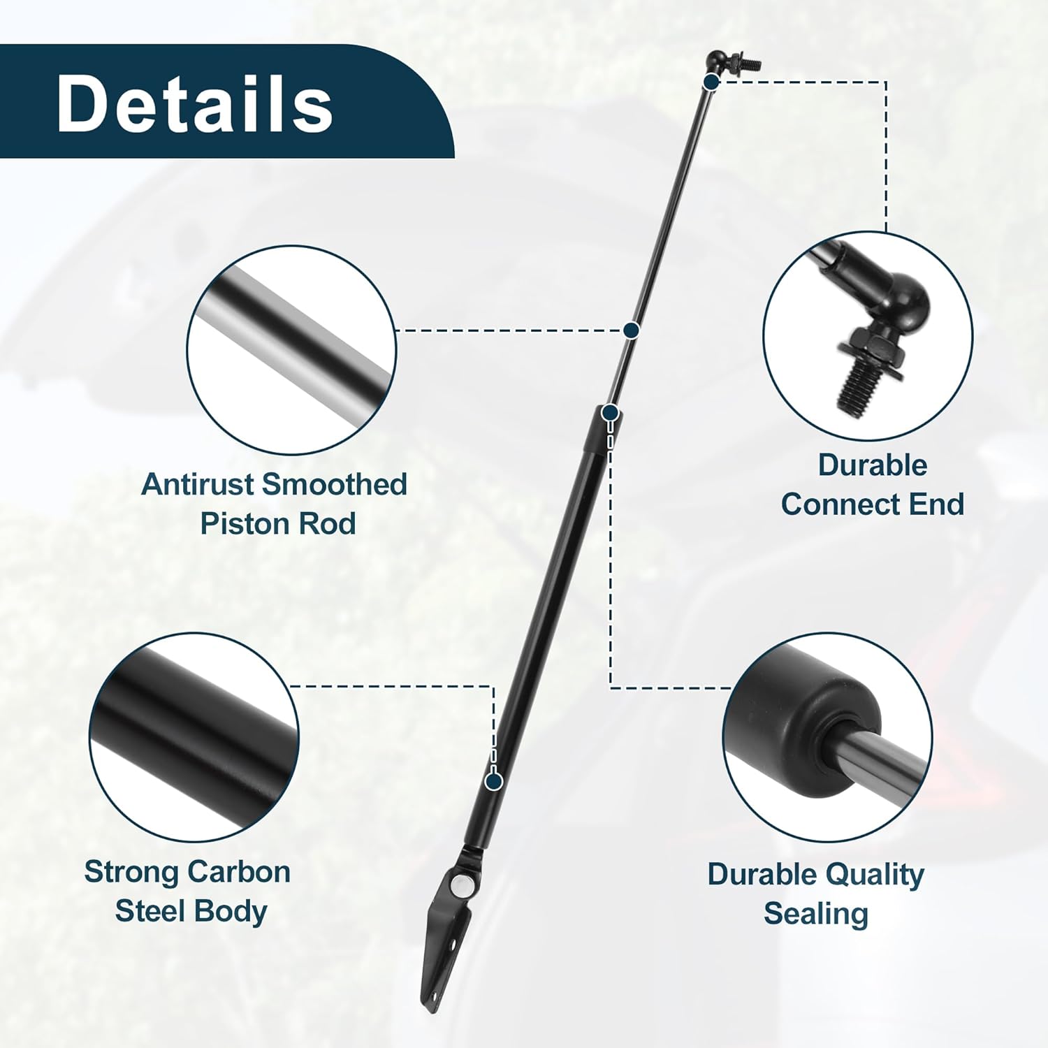 Rear Hatch Lift Supports Struts for Subaru Outback 2003-2009 Gas Spring Black 2 Pcs