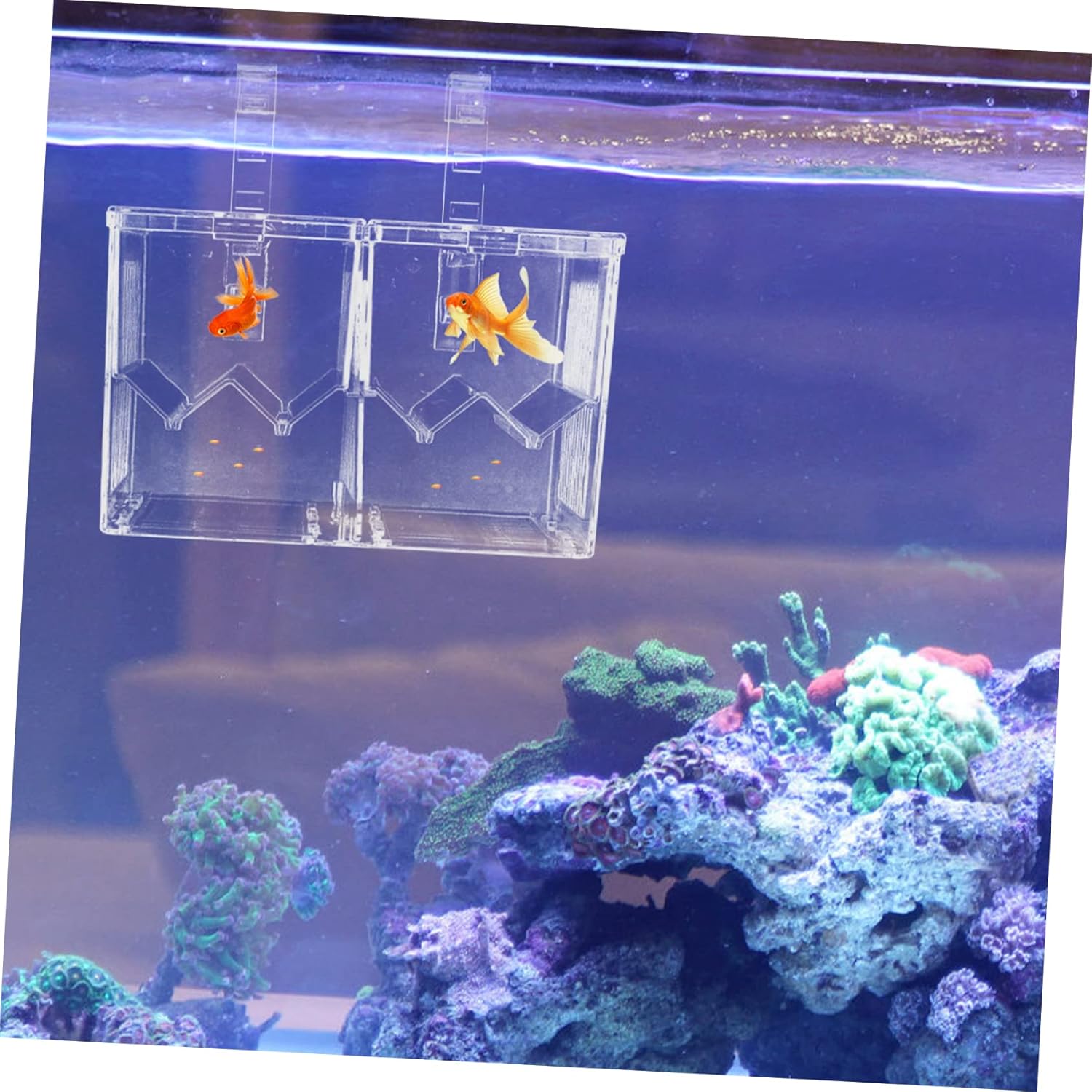 Kisangel Fish Breeding Box Aquarium Isolation Tank for Betta Guppy Viviparous Fish Easy Install Plastic Construction