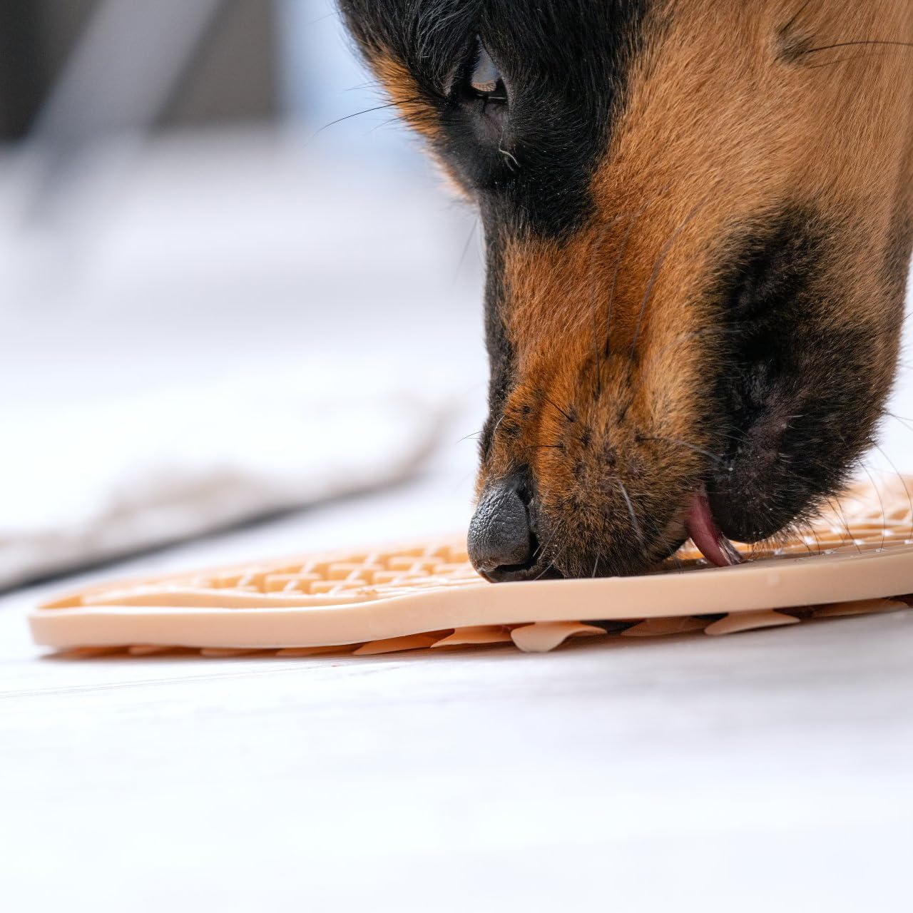 Fackelmann Tappetino lecca-cibo in silicone antiscivolo, per alimentazione lenta e digestione sana per cani e gatti, lavabile in lavastoviglie, riutilizzabile, slow feeder, gioco interattivo