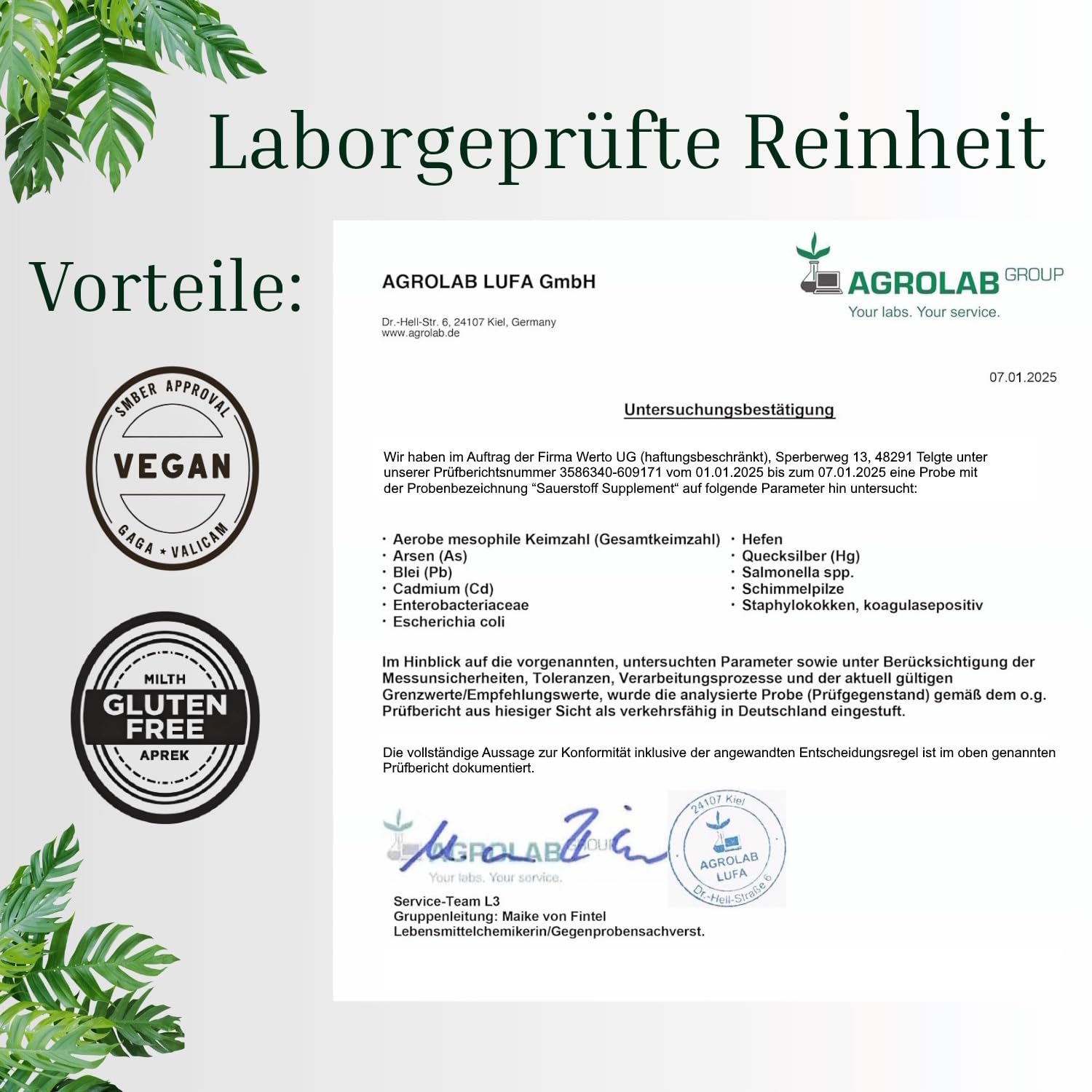 Natürliches Sauerstoff-Supplement – Fördert die optimale Sauerstoffaufnahme und unterstützt Körper & Geist