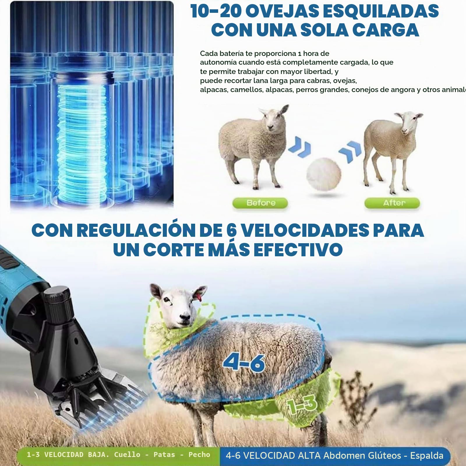 Máquina De Esquilar Ovejas Inalámbrica, Cortadora Eléctrica 300W Con 2 Baterías, Cuchilla 9/13 Dientes, 6 Velocidades Kit Para Lana Gruesa Ganado Cabras Alpacas 13-Teeth