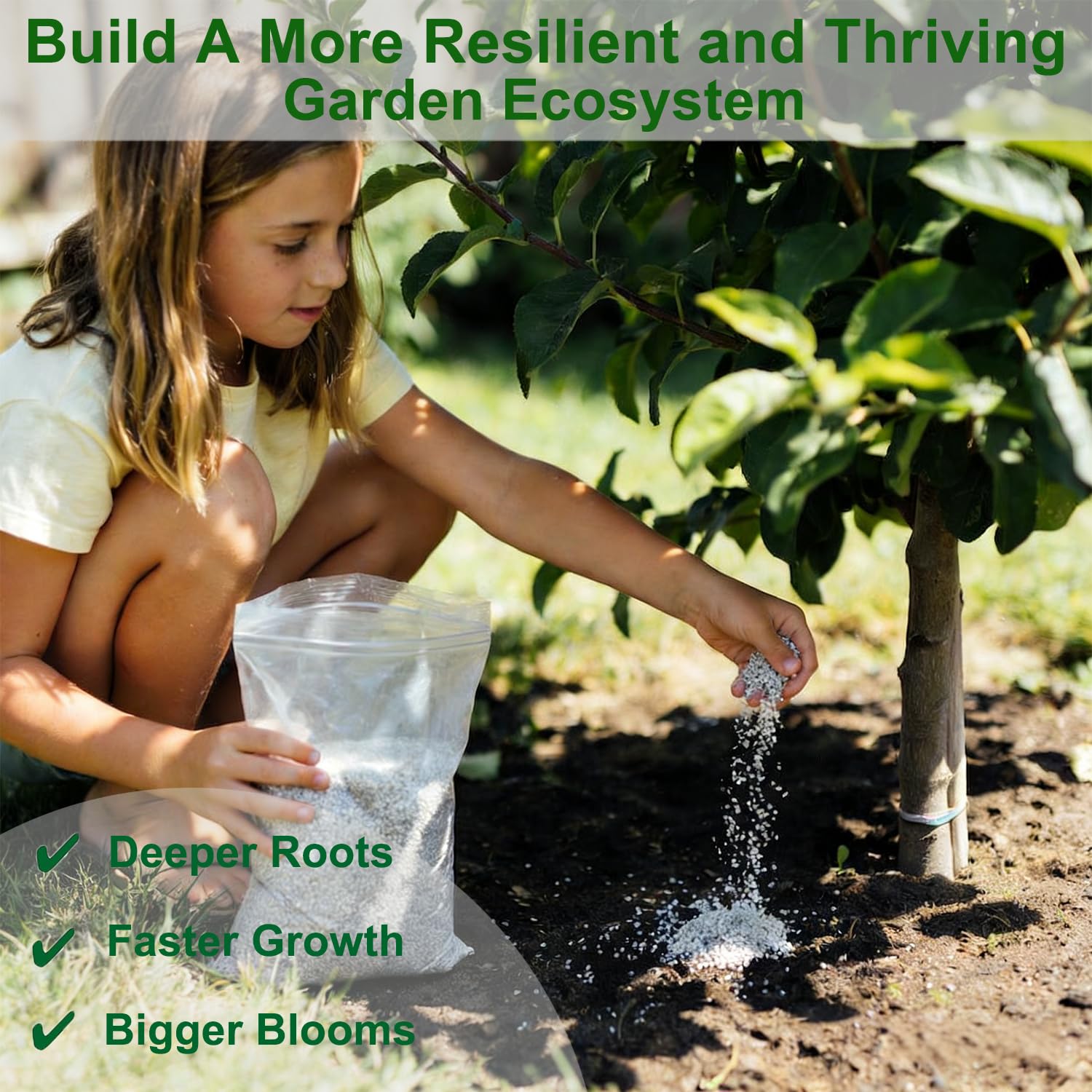 All Purpose Fertilizer, 20-20-20 Indoor Plant Fertilizer, Plant Food for Houseplants, Boost Stem & Leaf Growth, Improves Root Health, Promote Large Flower Blooming & Fruit Growth（6LB）
