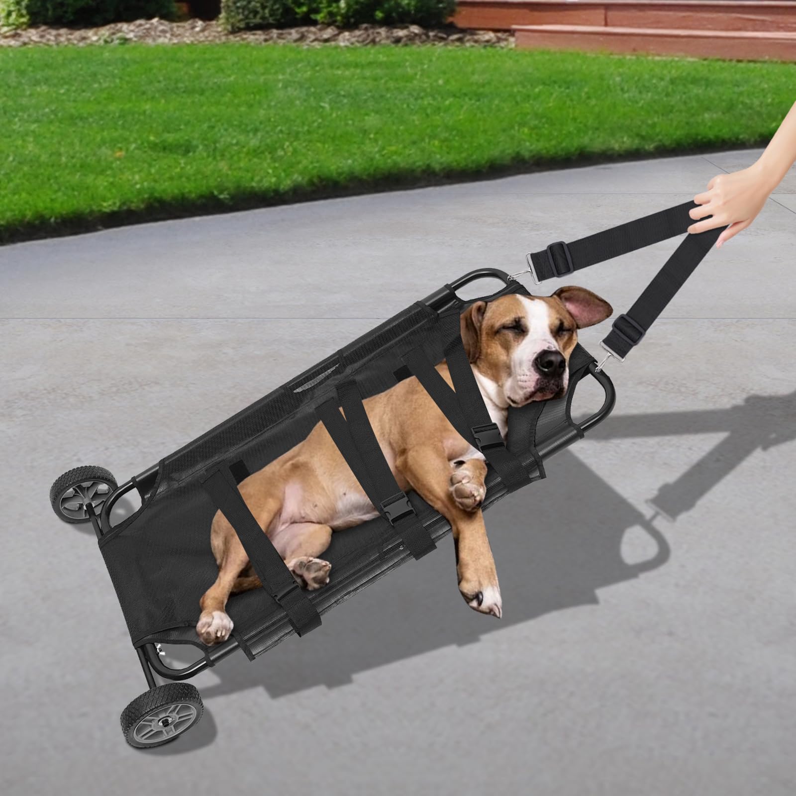Fahrbarer Tierträge, Faltbare Transport Notfalltrage 115×55×15cm, Verstellbarer Schultergurt, Leicht zu bewegen, Tragfähigkeit 50 kg für Haustiere mit Notfällen