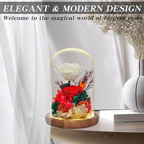 Miniatura 4 de Regalo de rosas de flores reales para mujer, regalo floral perfecto de larga duración para el amor y todas las ocasiones, flores frescas para