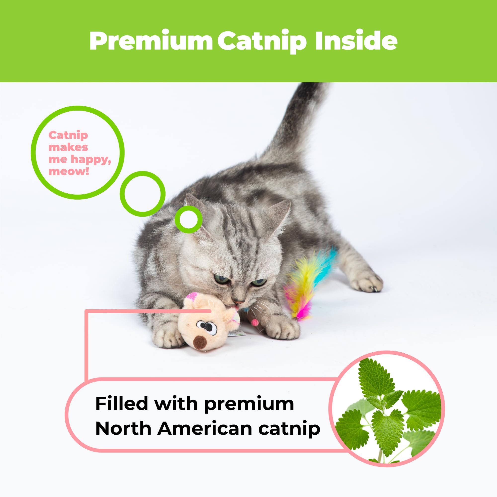 Catify by Best Pet Supplies Interaktives Katzenspielzeug, Plüschspielzeug, bewegungsaktiviertes und quietschendes Spielzeug mit amerikanischer Katzenminze für Katzen und Kätzchen