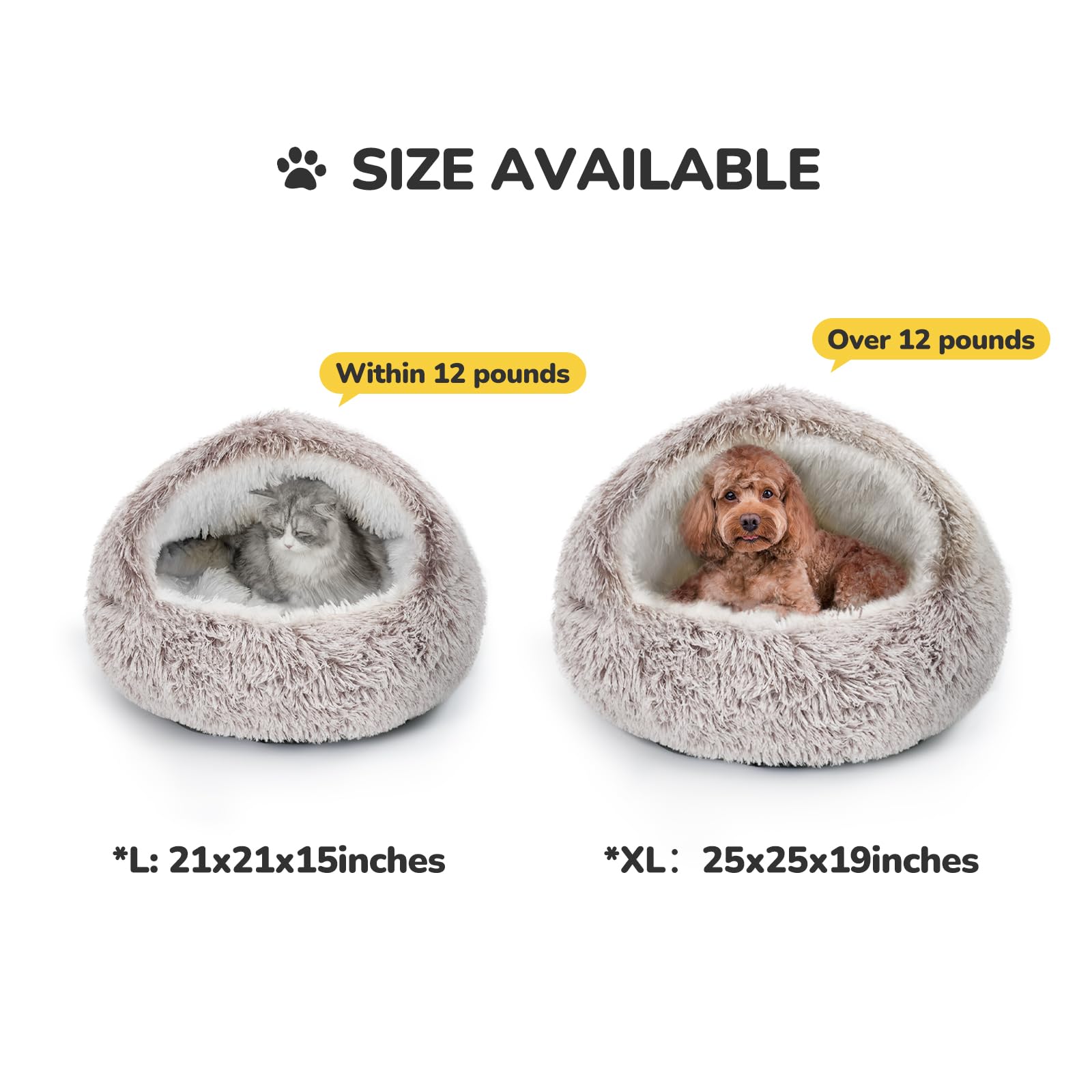 CATISM Cuccia per gatti, lavabile, per gatti, in peluche, per animali domestici, per animali domestici, per cuccioli, colore: marrone caffè