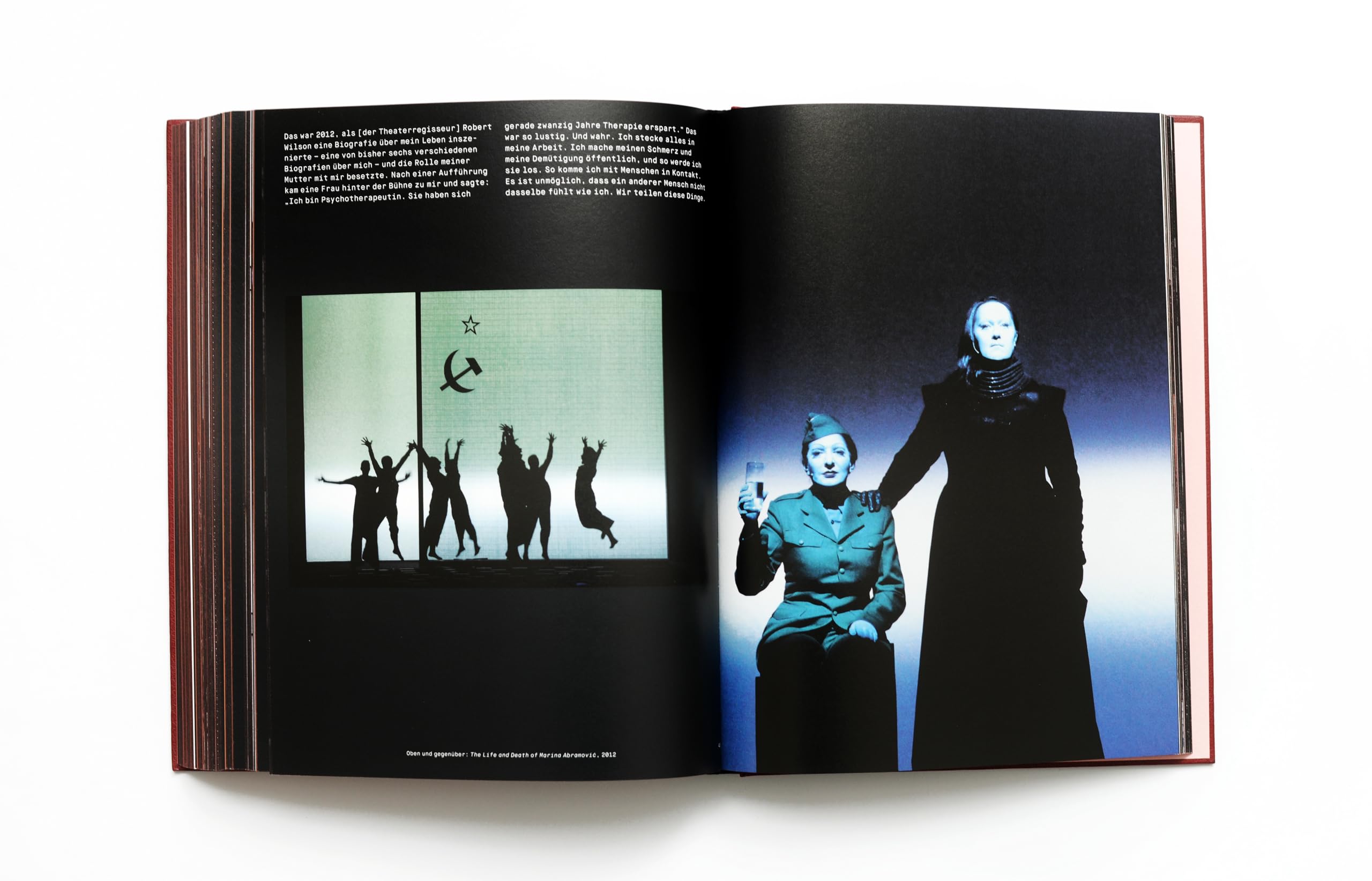 Marina Abramovic: Eine Bild-Biografie - Das Kunstbuch des Jahres - Ein Bildband mit über 700 Fotos