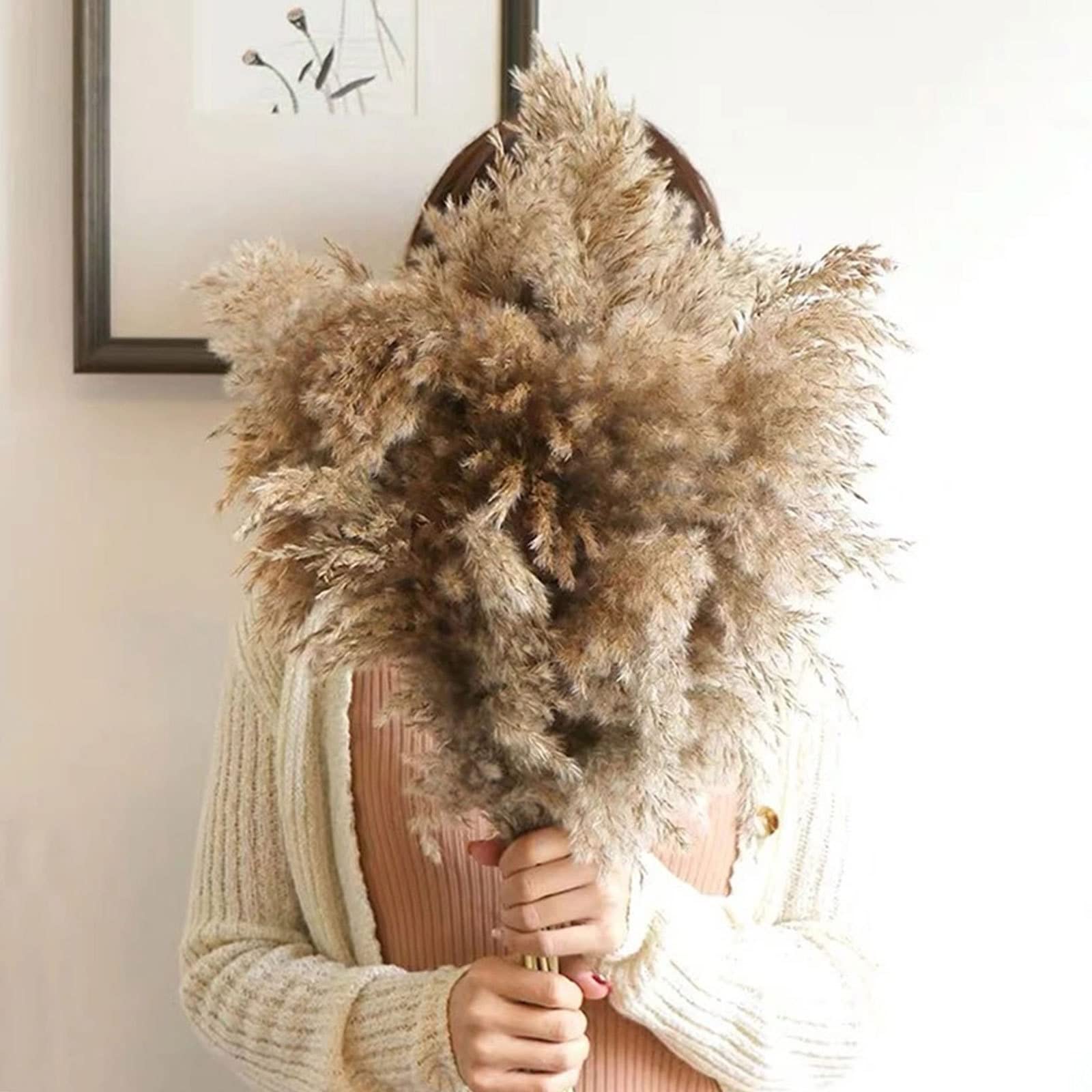 Herbe de Pampa séchée Naturelle Grande, 23 Pouces de Hauteur Wild Pampas Grass Fluffy Pompas Floral, Utilisé pour Le Mariage et la décoration de la Maison Boho Fleurs séchées,Brown-30Stems