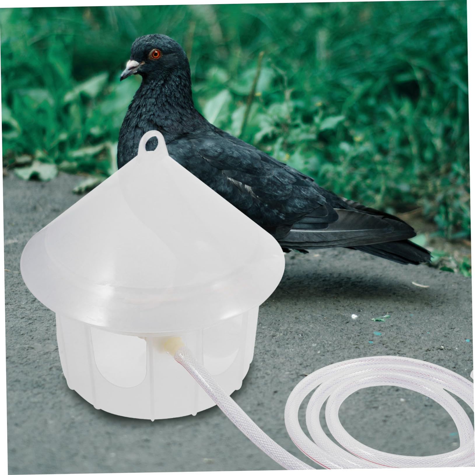 UPKOCH Dispenser per Piccioni Mangiatoia Resistente e Facile da Adatta per Uccelli Domestici Design e Stabile Rifornimento Manuale