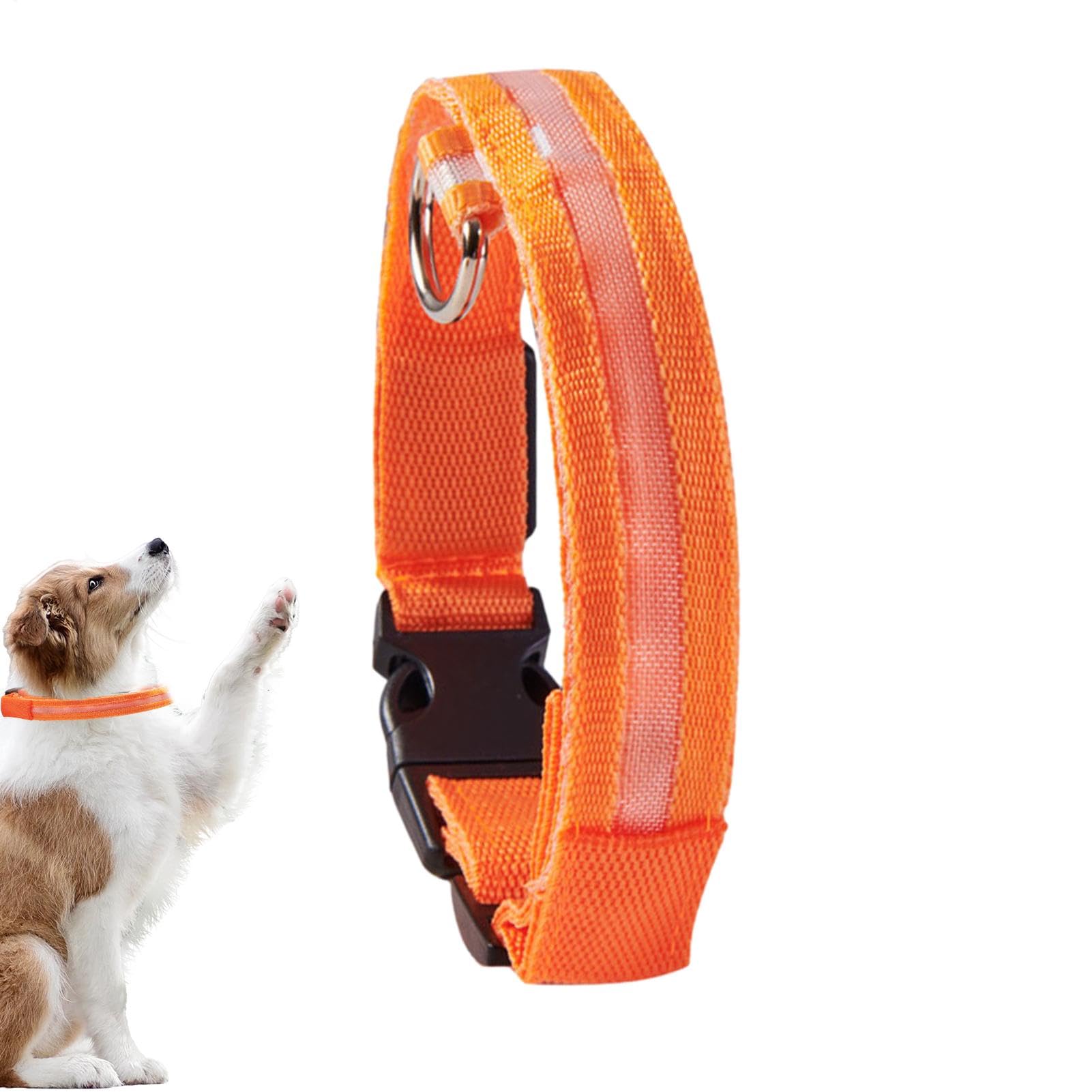 LED | Collare luminoso lampeggiante per cani, collari regolabili che | brillano al buio per cuccioli, cani di taglia media e piccola.