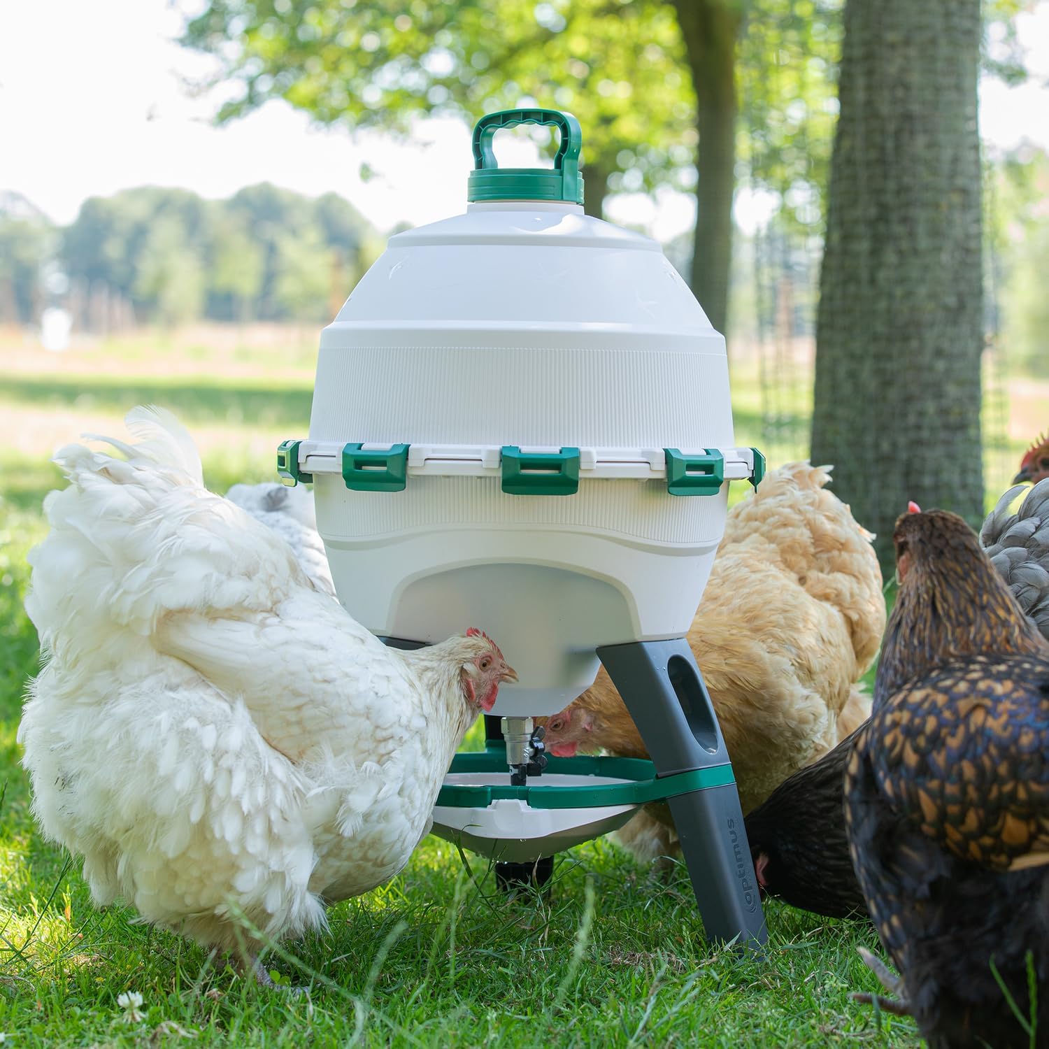 Abbeveratoio per polli Optimus 25 L per fino a 25 polli, con ciotola di ricambio, serbatoio dell'acqua in due pezzi, abbeveratoio per pollame, abbeveratoio automatico per polli - distributore di acqua