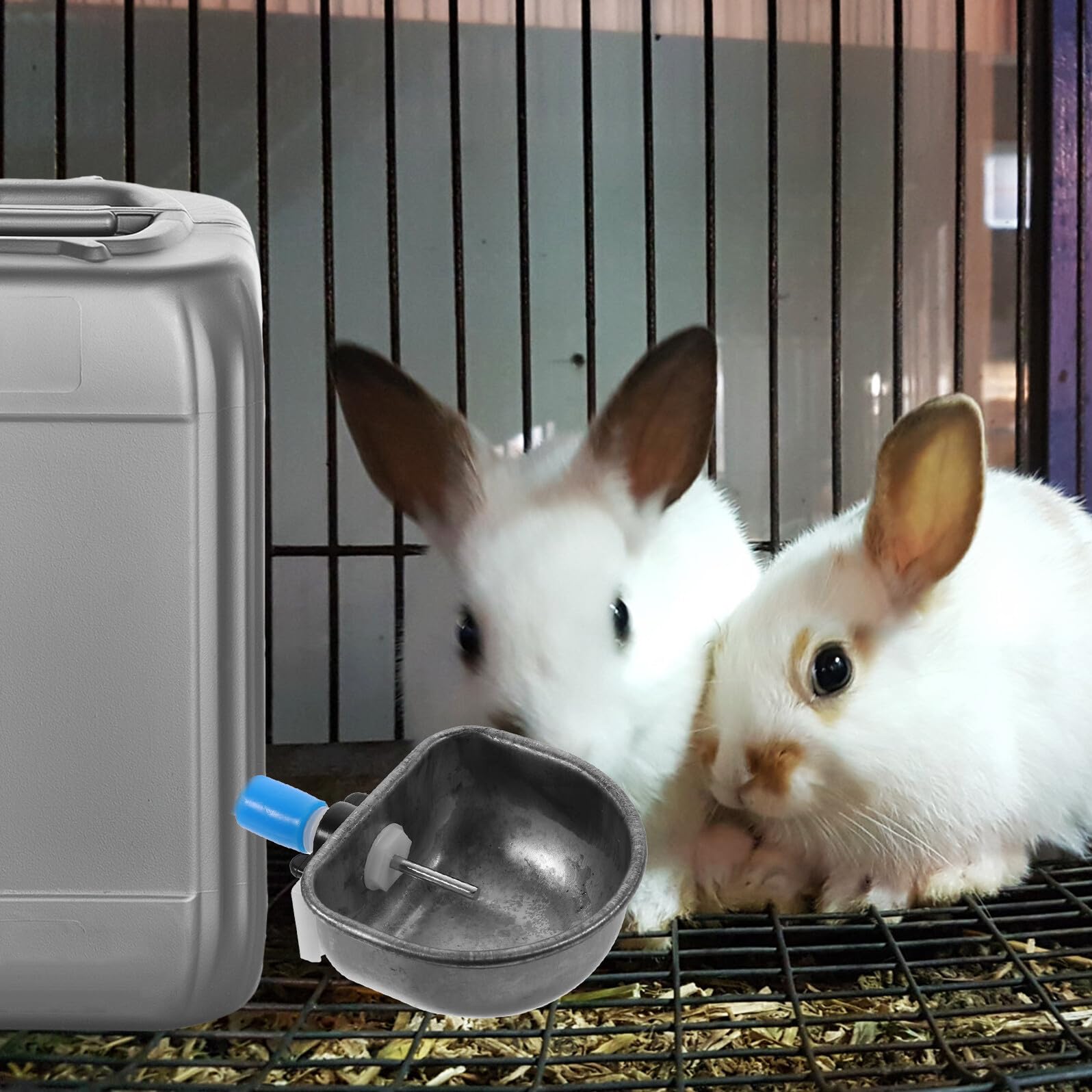 COLLBATH 6 pièces Abreuvoir Lapin INOX Bol Automatique Capacité pour Cage Clapier Distributeur Eau Anti-Morsure pour Alimentation Confort Lapins