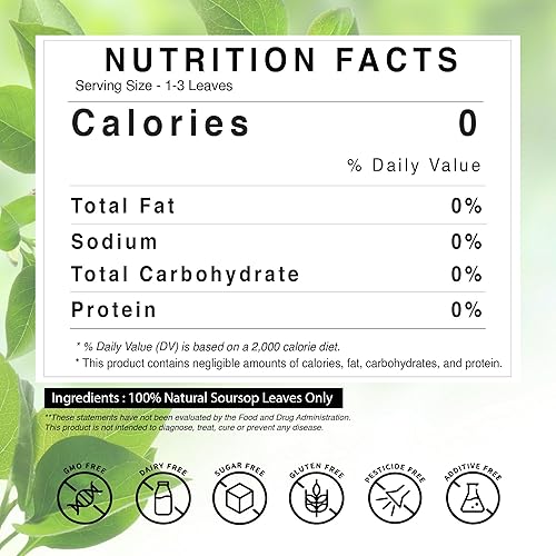 Miniatura 4 de Prime Ceylon Dried Soursop Leaves  Natural Graviola (Guanabana) Herbal Tea Infusion, Whole Exotic Tropical Leaves, Hand-Picked from Sri Lanka,