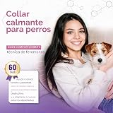 Ver la foto 7